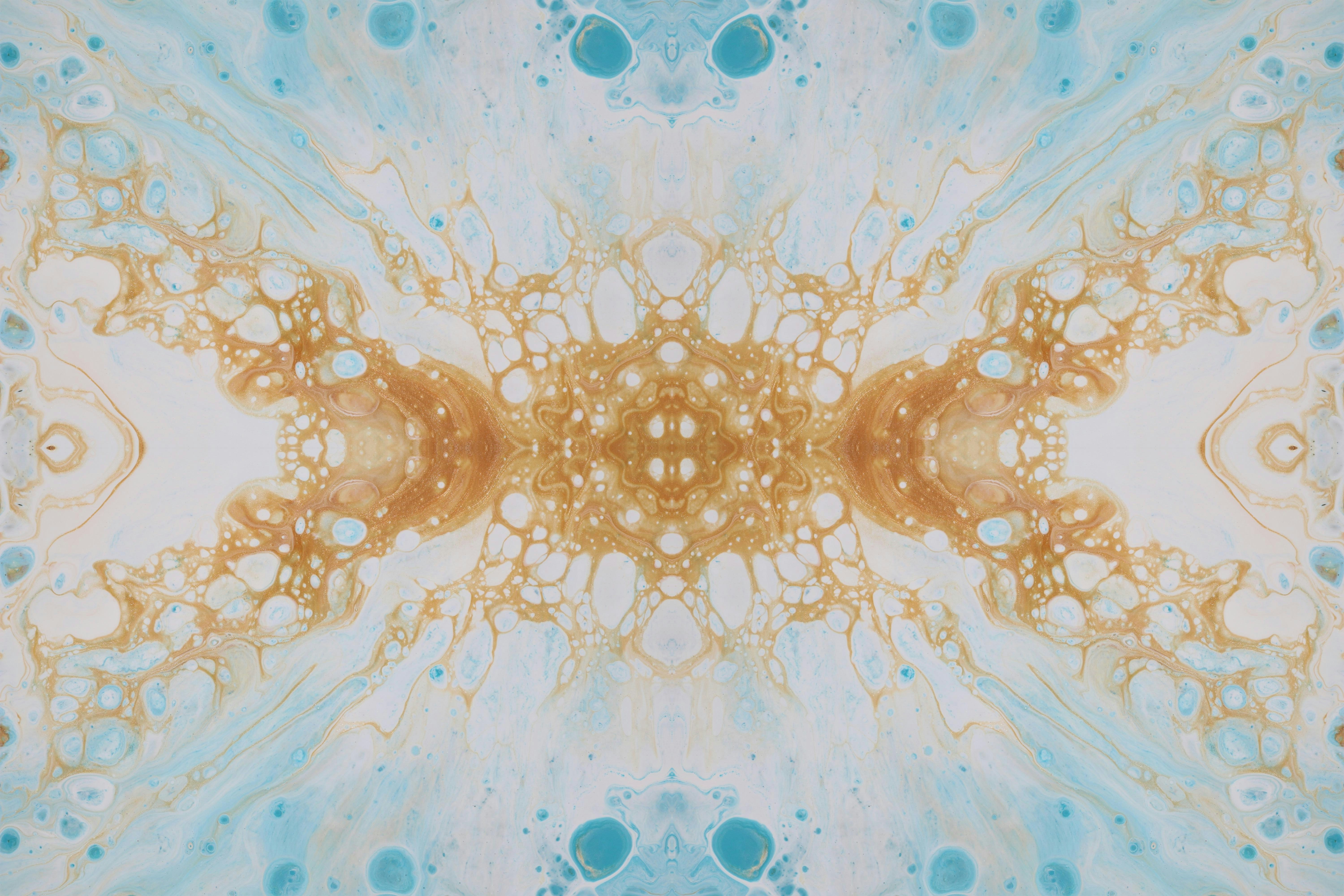 Photo by susan_wilkinson