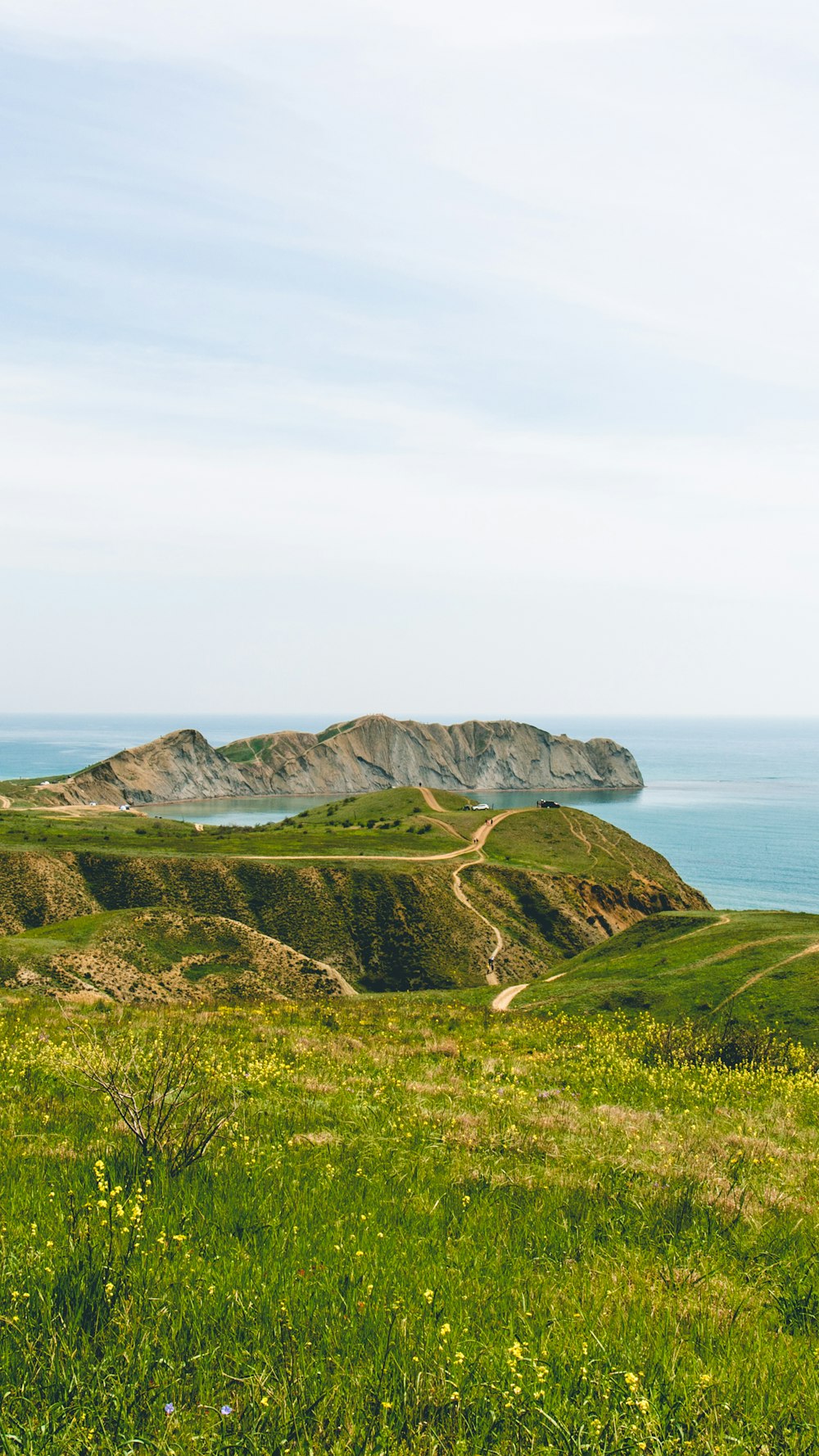 a grassy hill with a body of water in the background