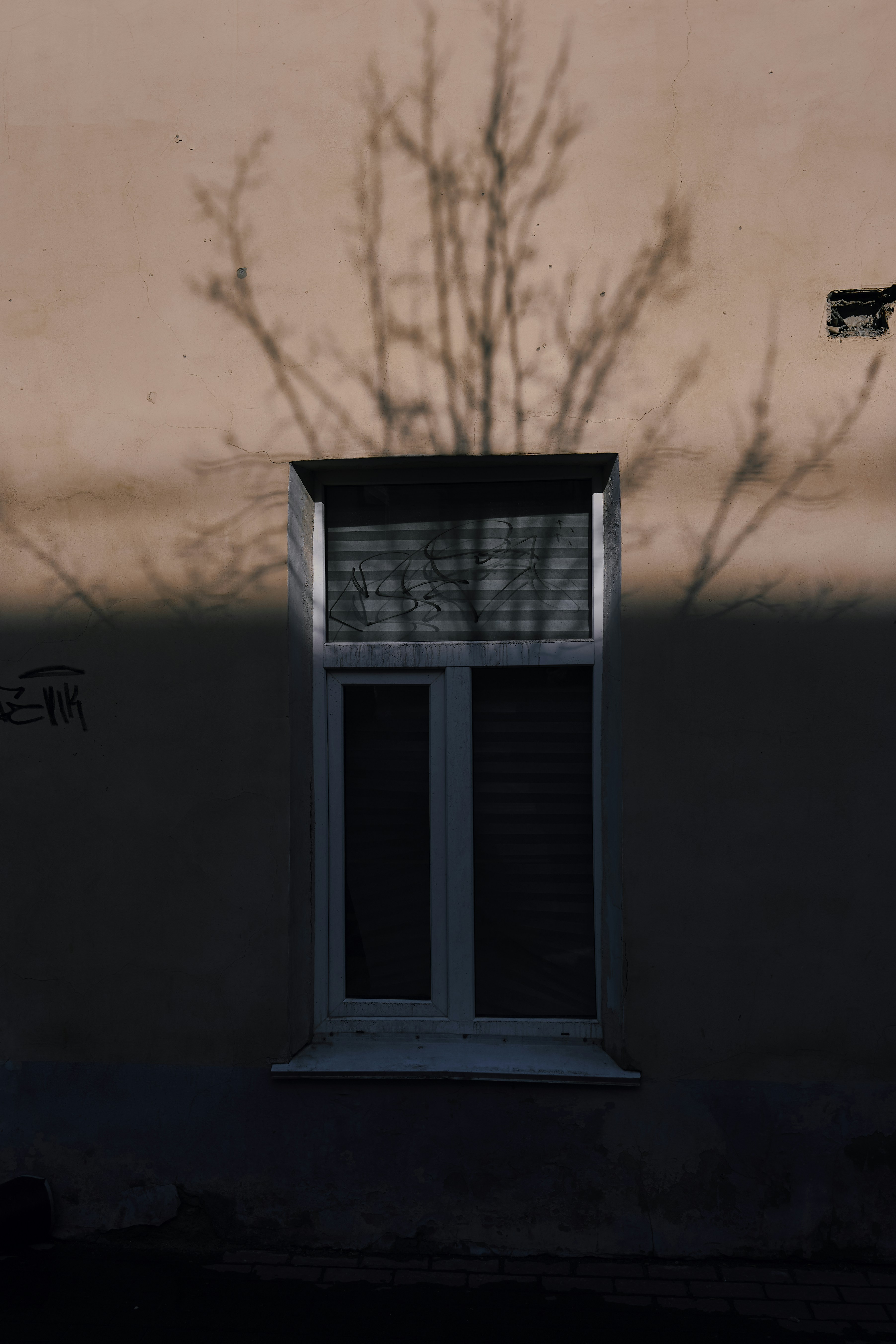 A shadow of a tree and a window photo – Free Grey Image on Unsplash