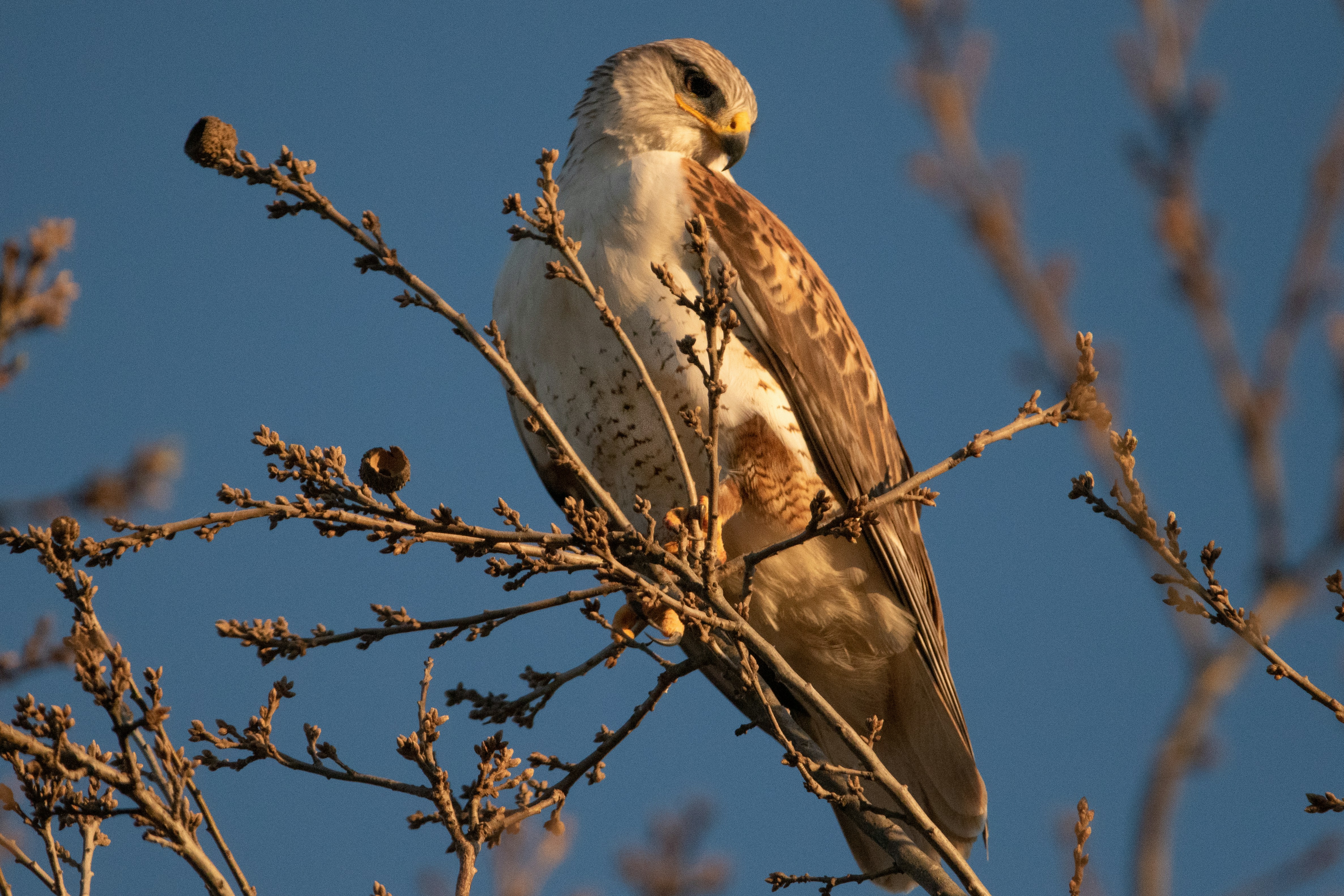 Photo by elisastonephotography