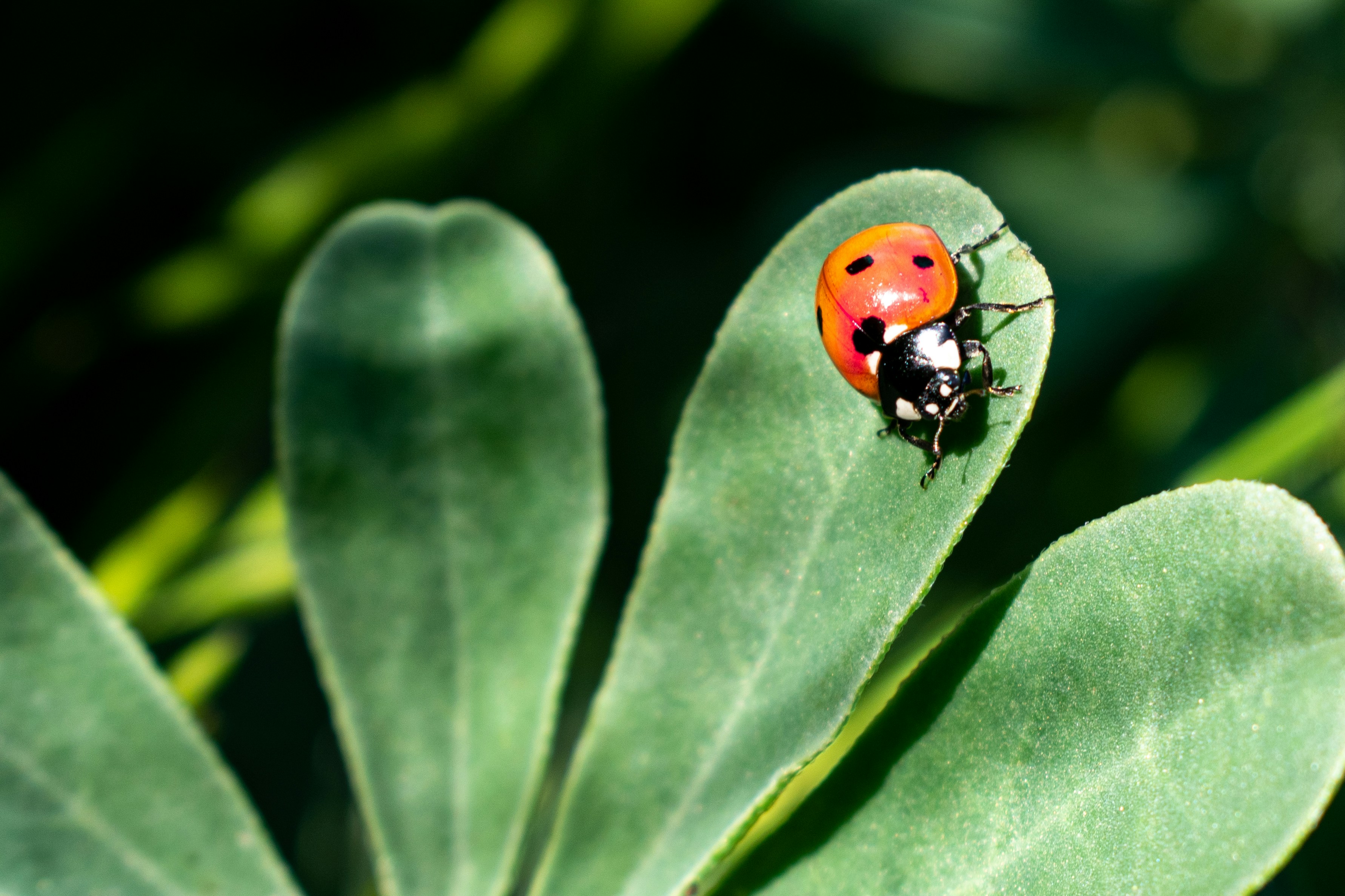 Photo by elisastonephotography