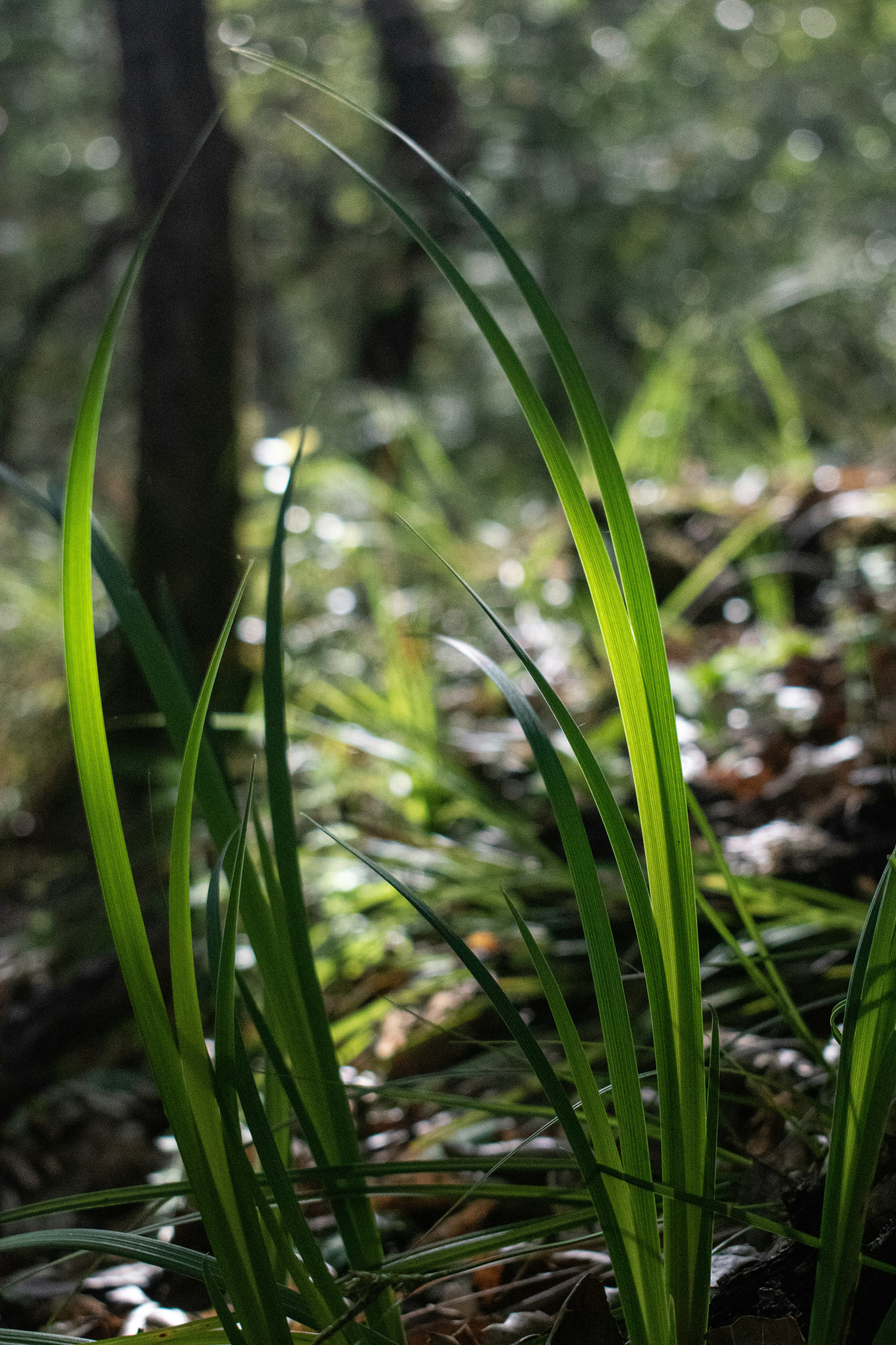 Photo by elisastonephotography