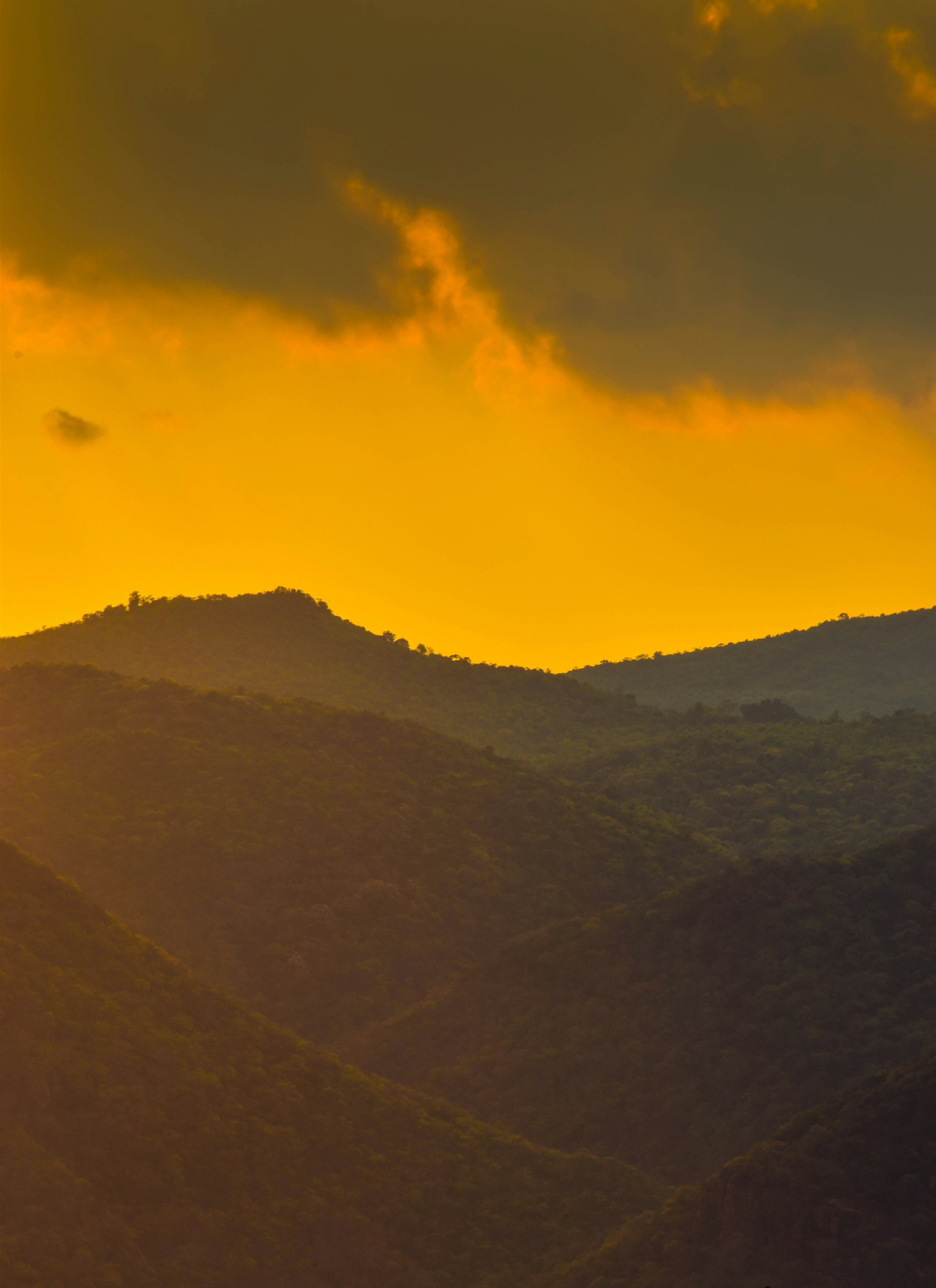 Photo by navi_photography