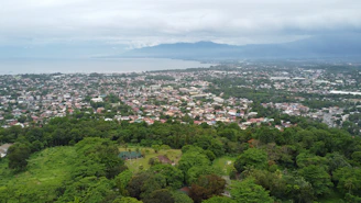 an aerial view of a city with a lake in the background