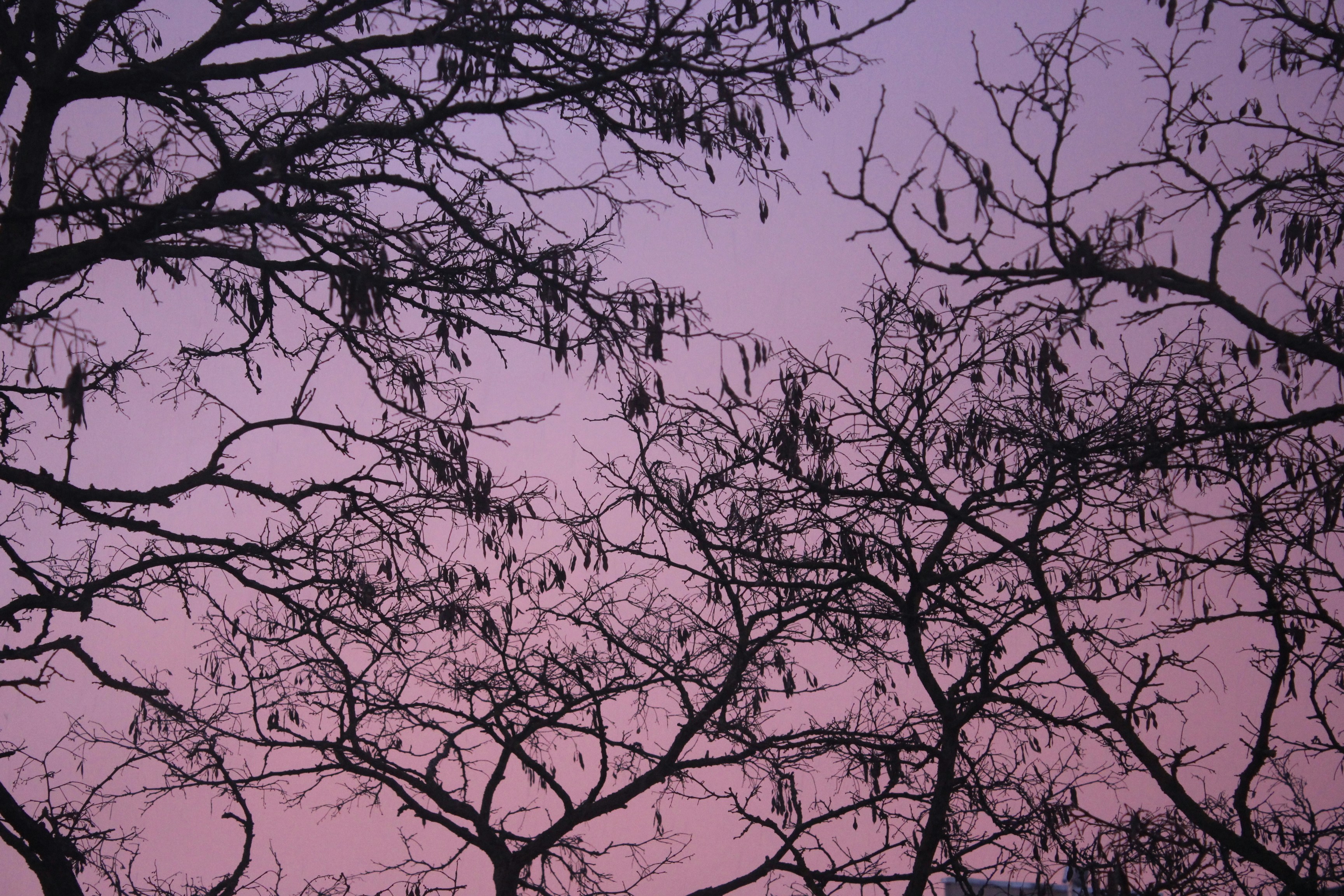 Photo by dareartworks