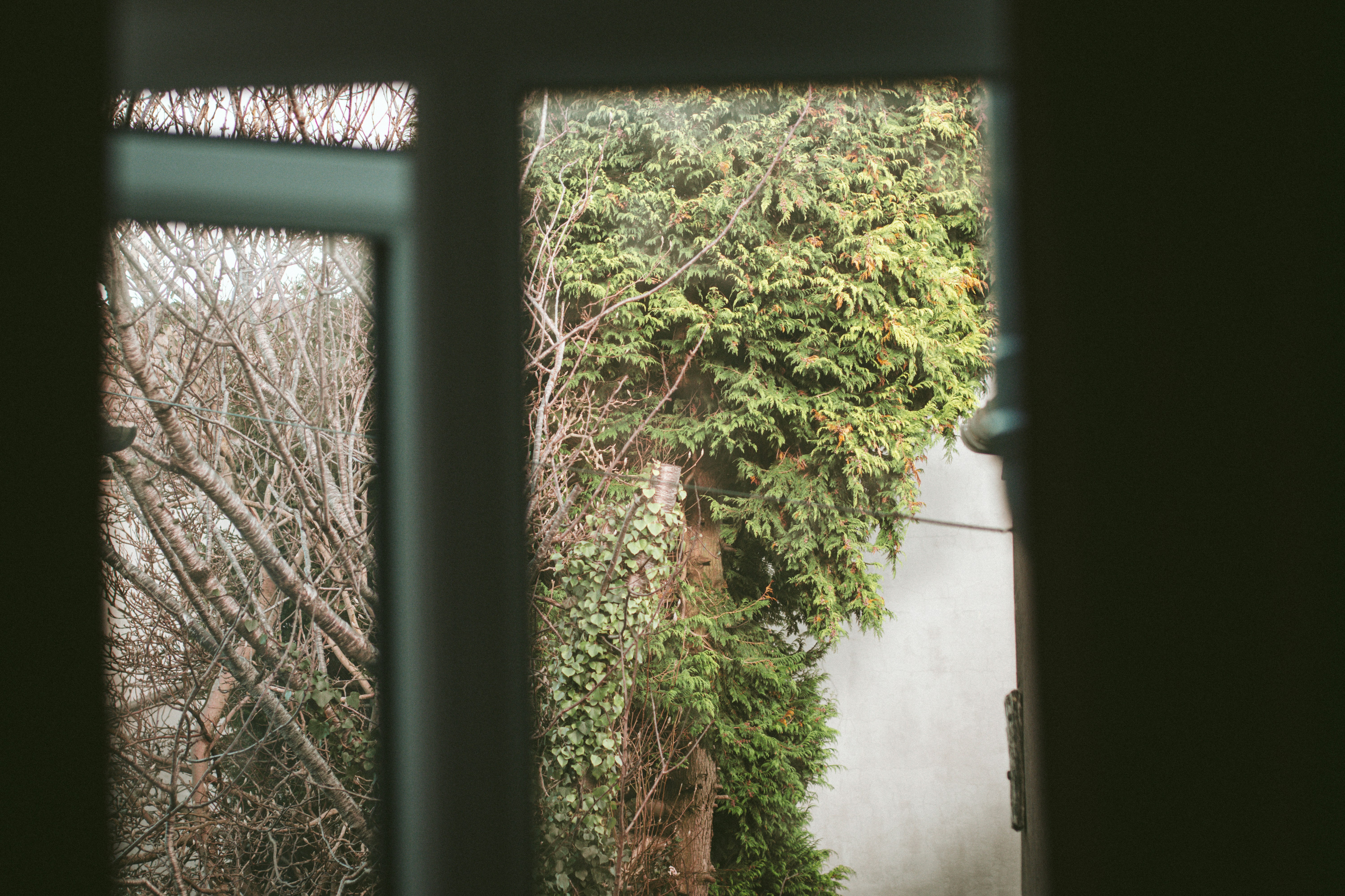 Cardiff – Cultural & Historical Context