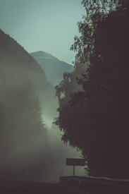 Dense fog envelops a mountainous landscape with tall trees casting dark silhouettes. A winding road disappears into the mist, with a road sign visible. The scene feels quiet and mysterious.