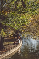 A peaceful scene of a person meditating by a quiet lake surrounded by trees in autumn.