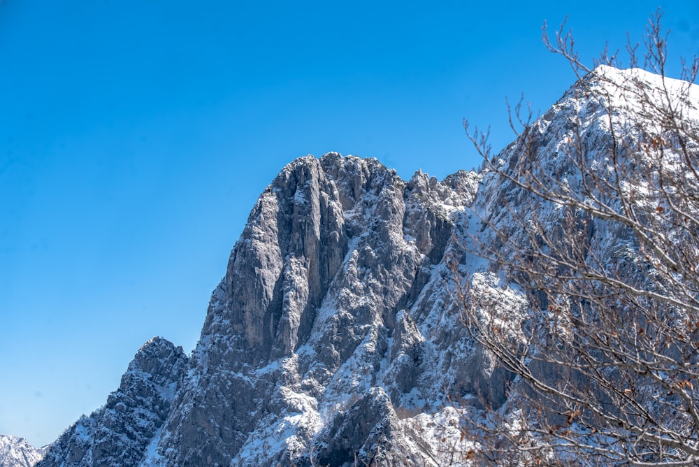 a snow covered mountain with trees in the foreground