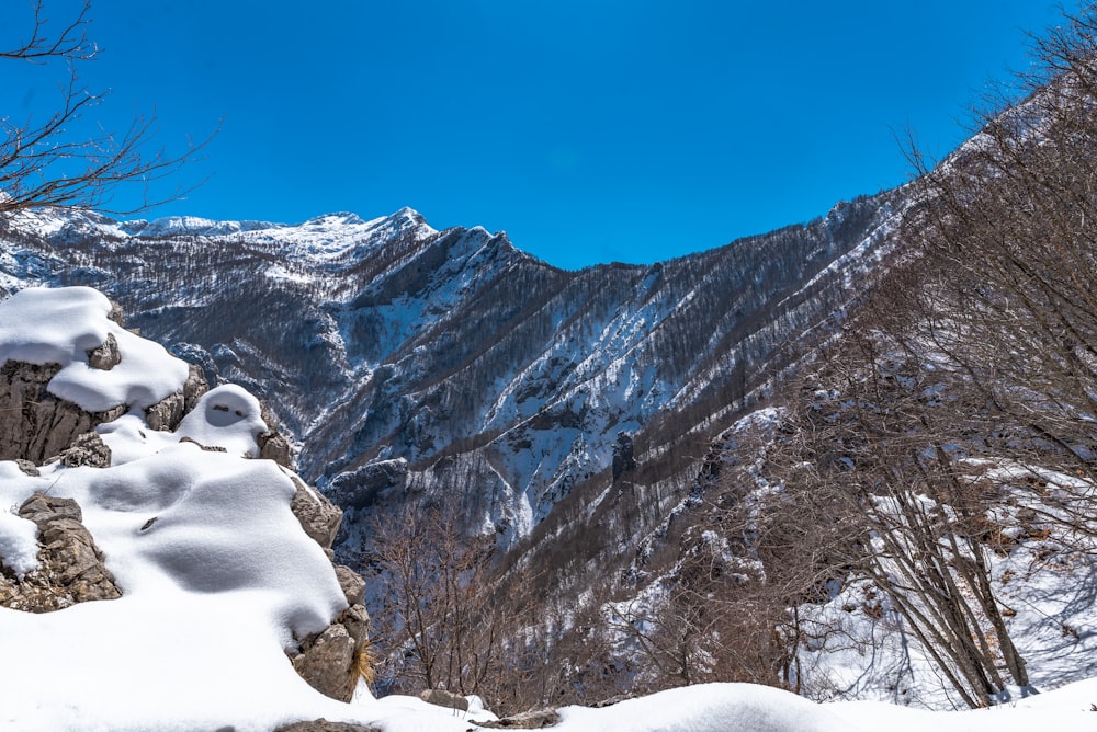 a snow covered mountain with a blue sky in the background