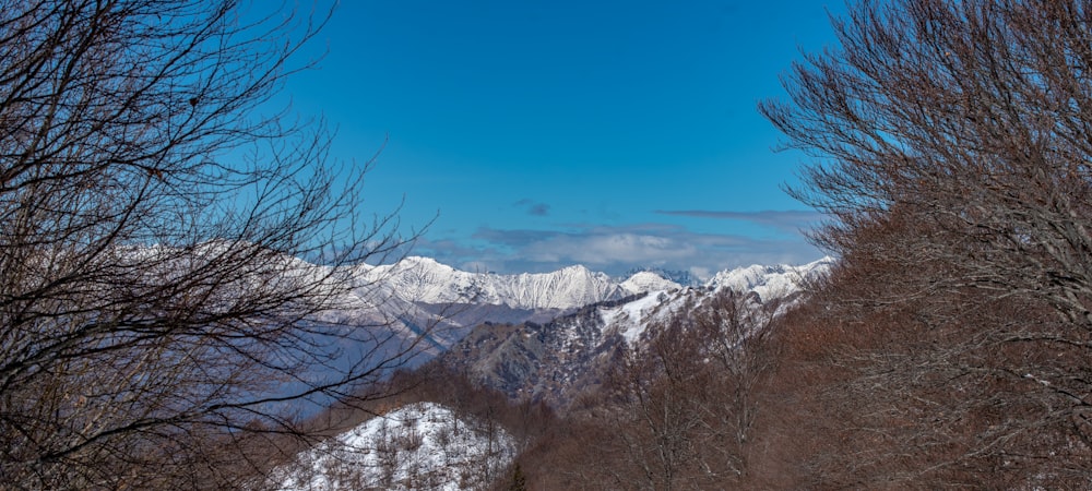 a view of a snowy mountain range from the top of a hill