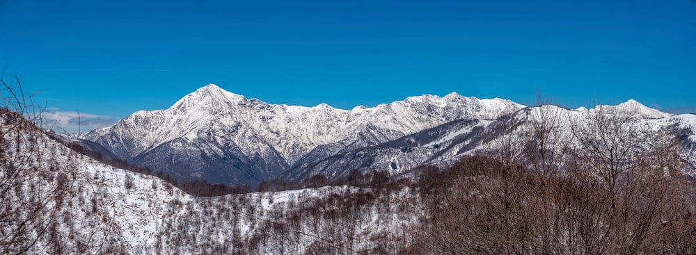 a view of a snowy mountain range with trees in the foreground