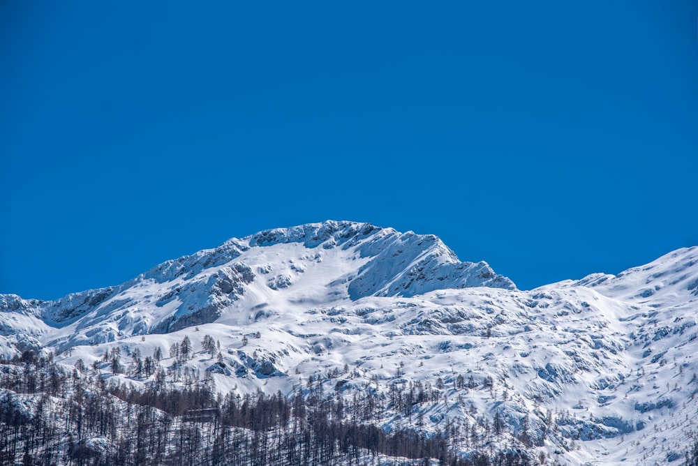 a mountain covered in snow with a blue sky in the background