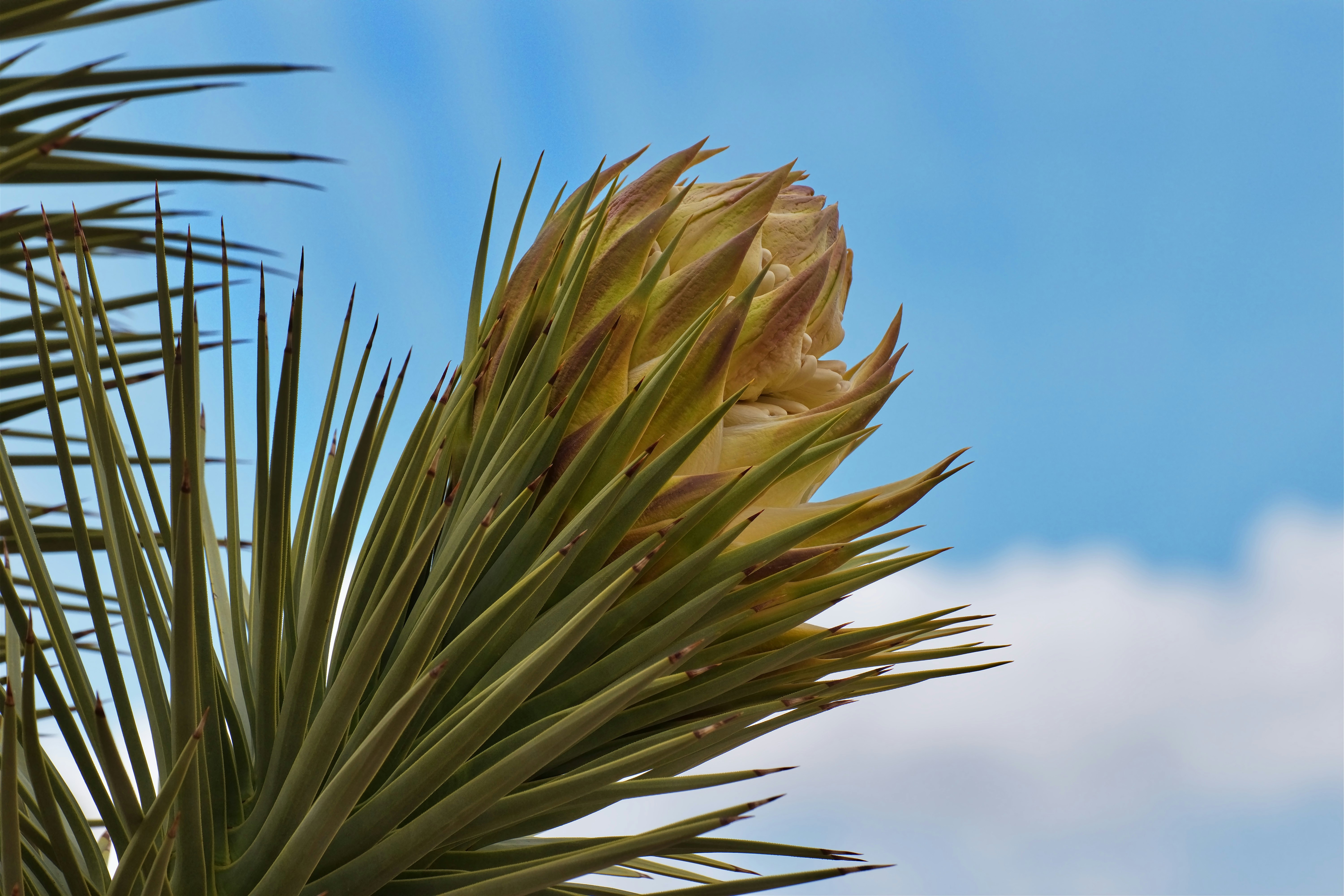 Photo by michael_yantis