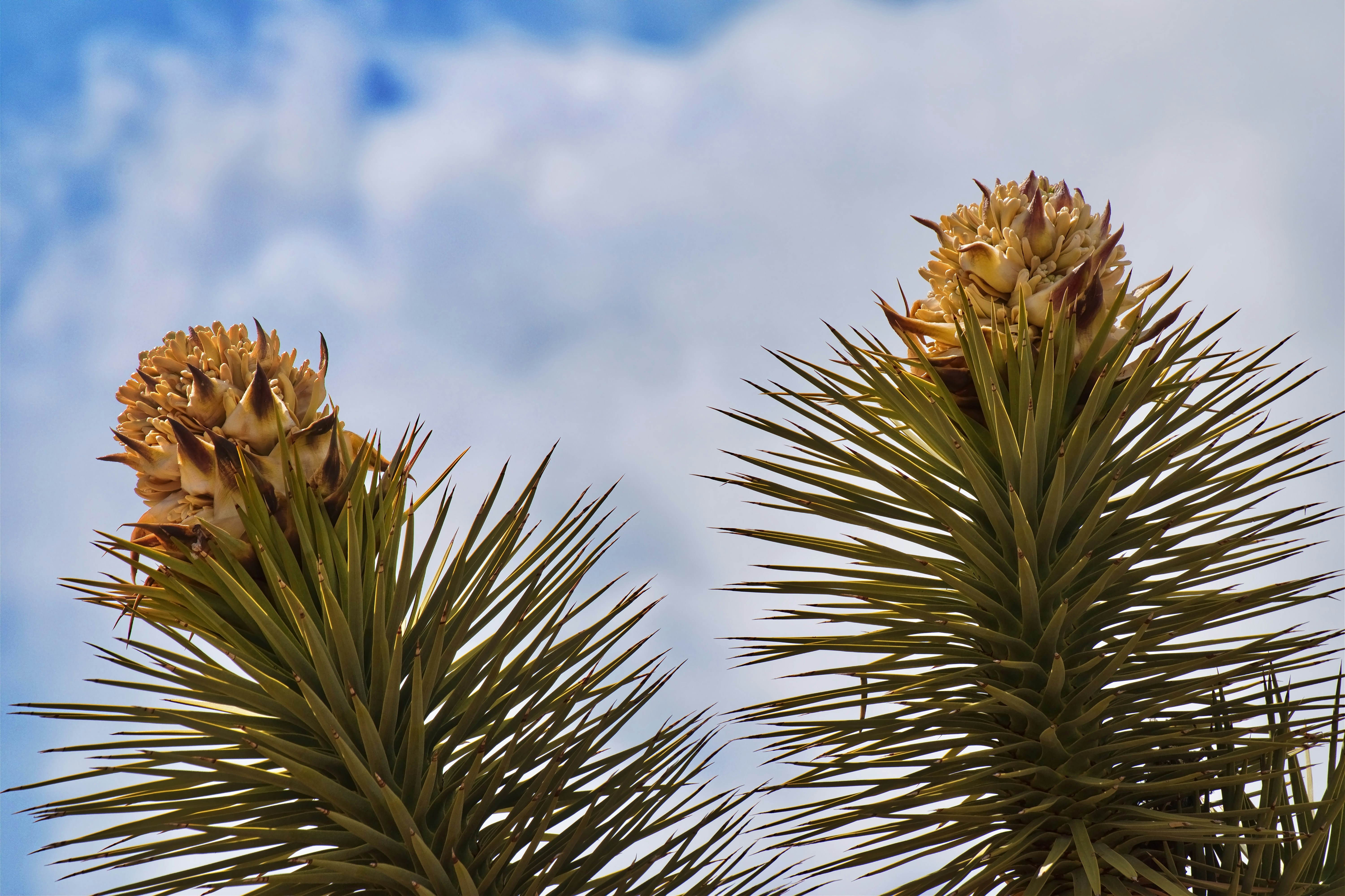 Photo by michael_yantis