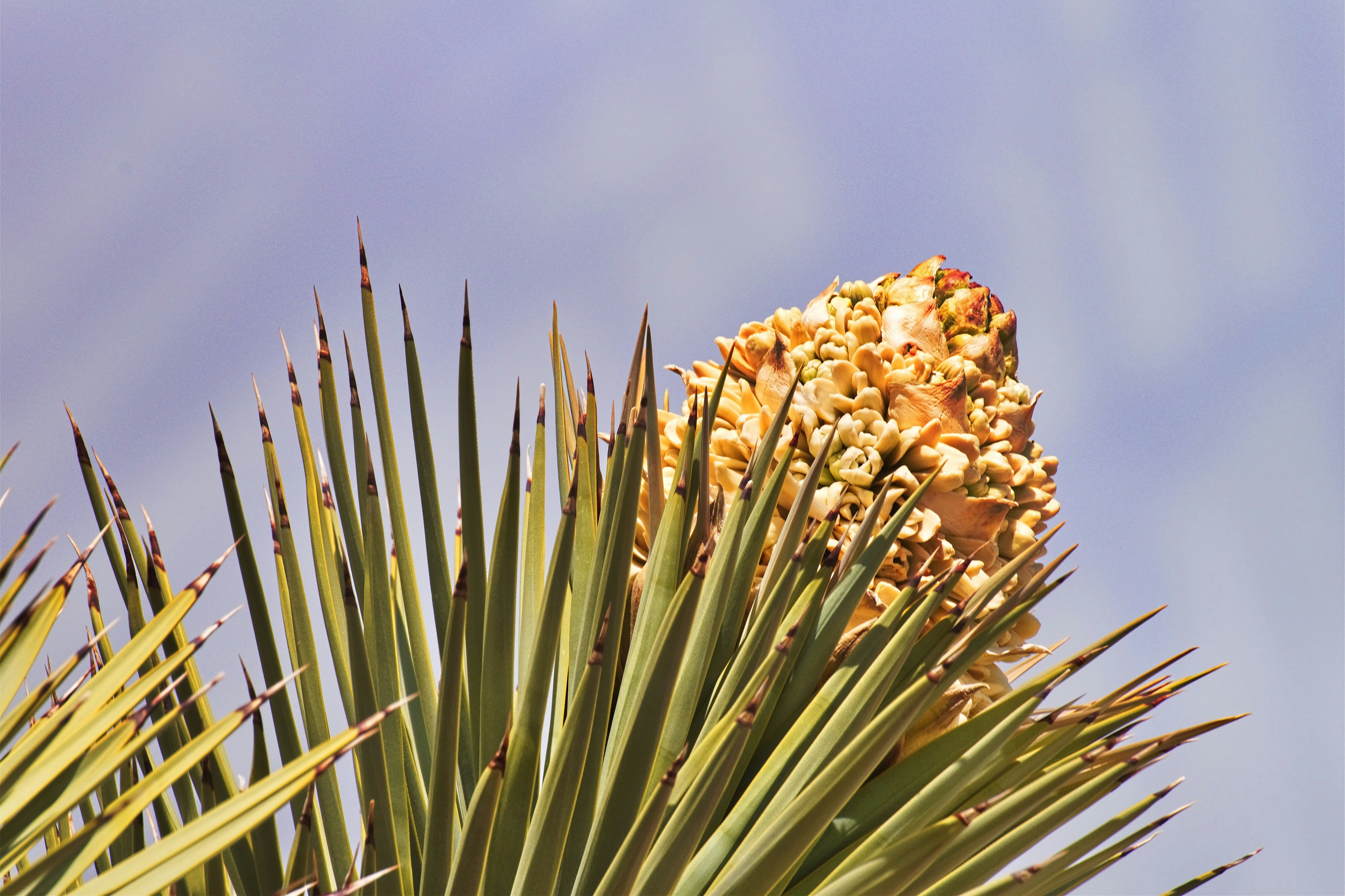 Photo by michael_yantis