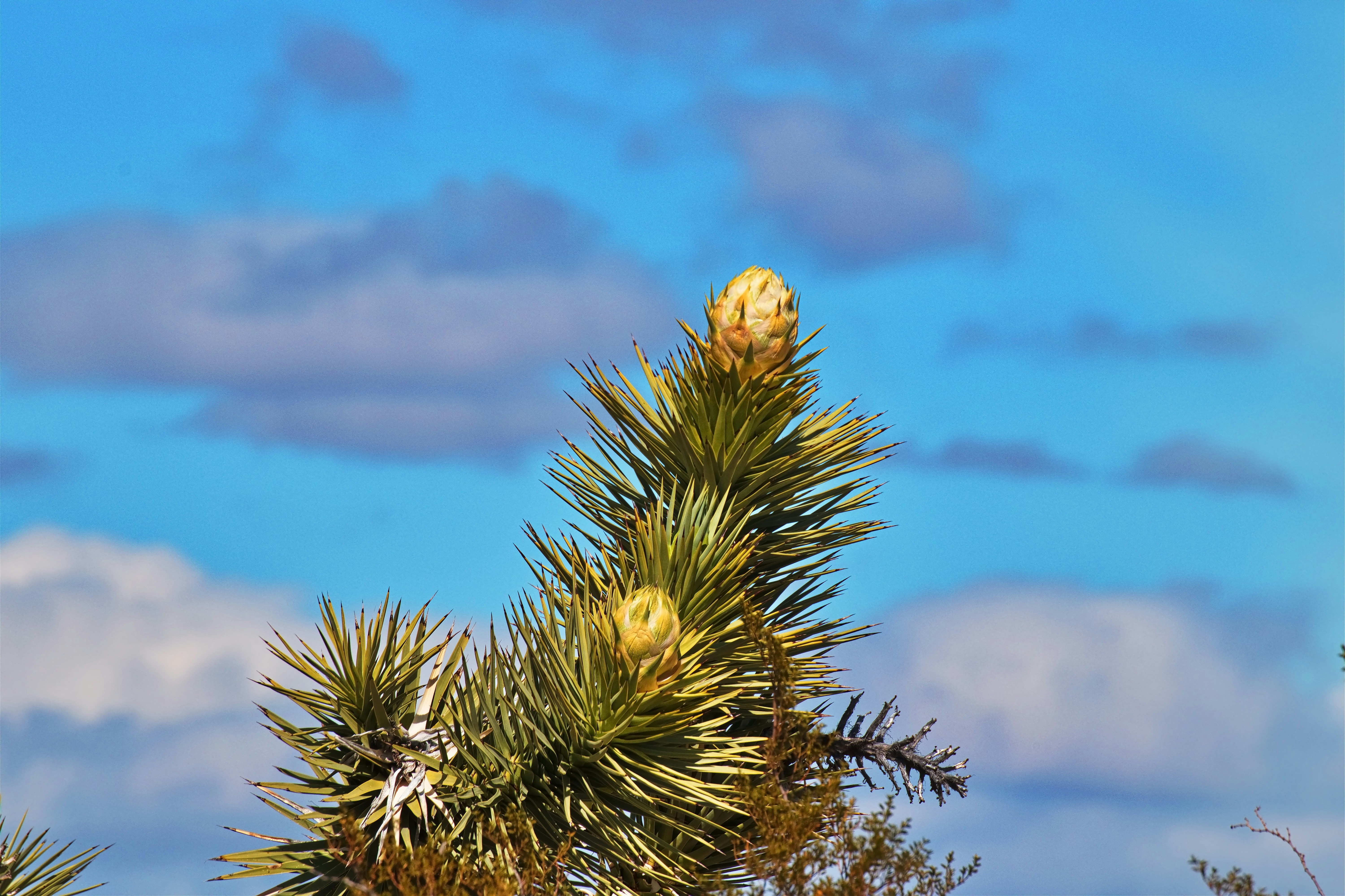 Photo by michael_yantis