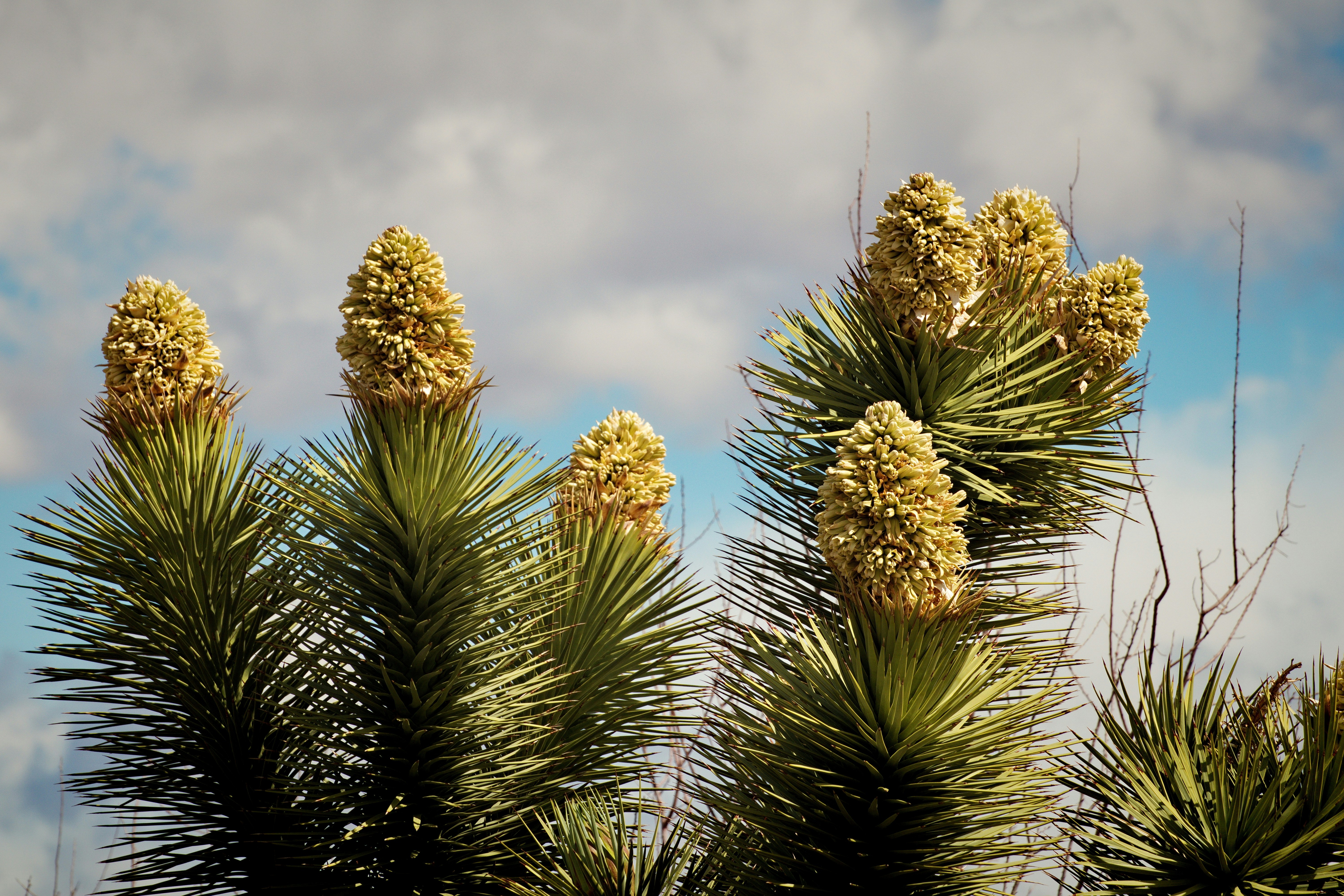 Photo by michael_yantis