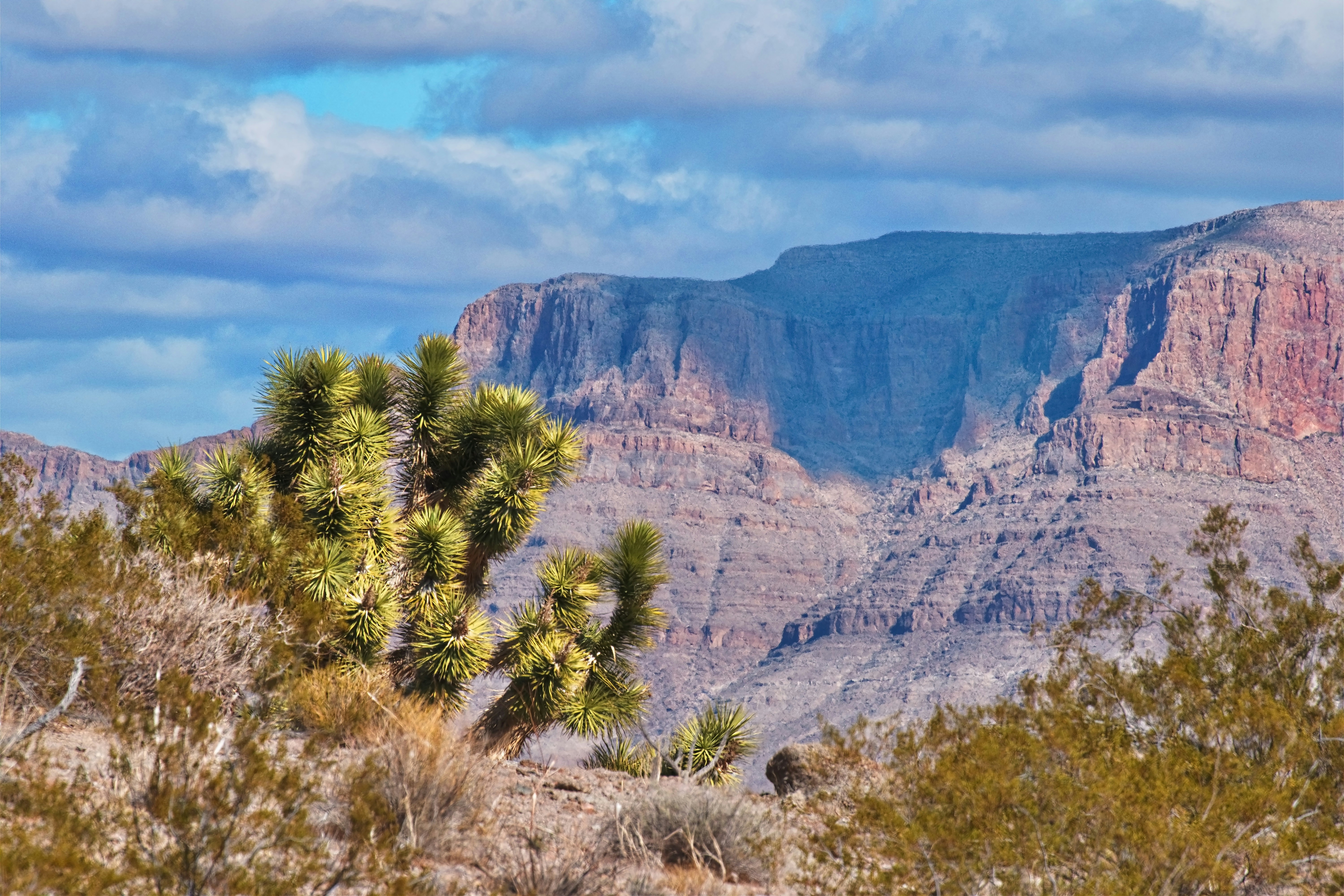 Photo by michael_yantis