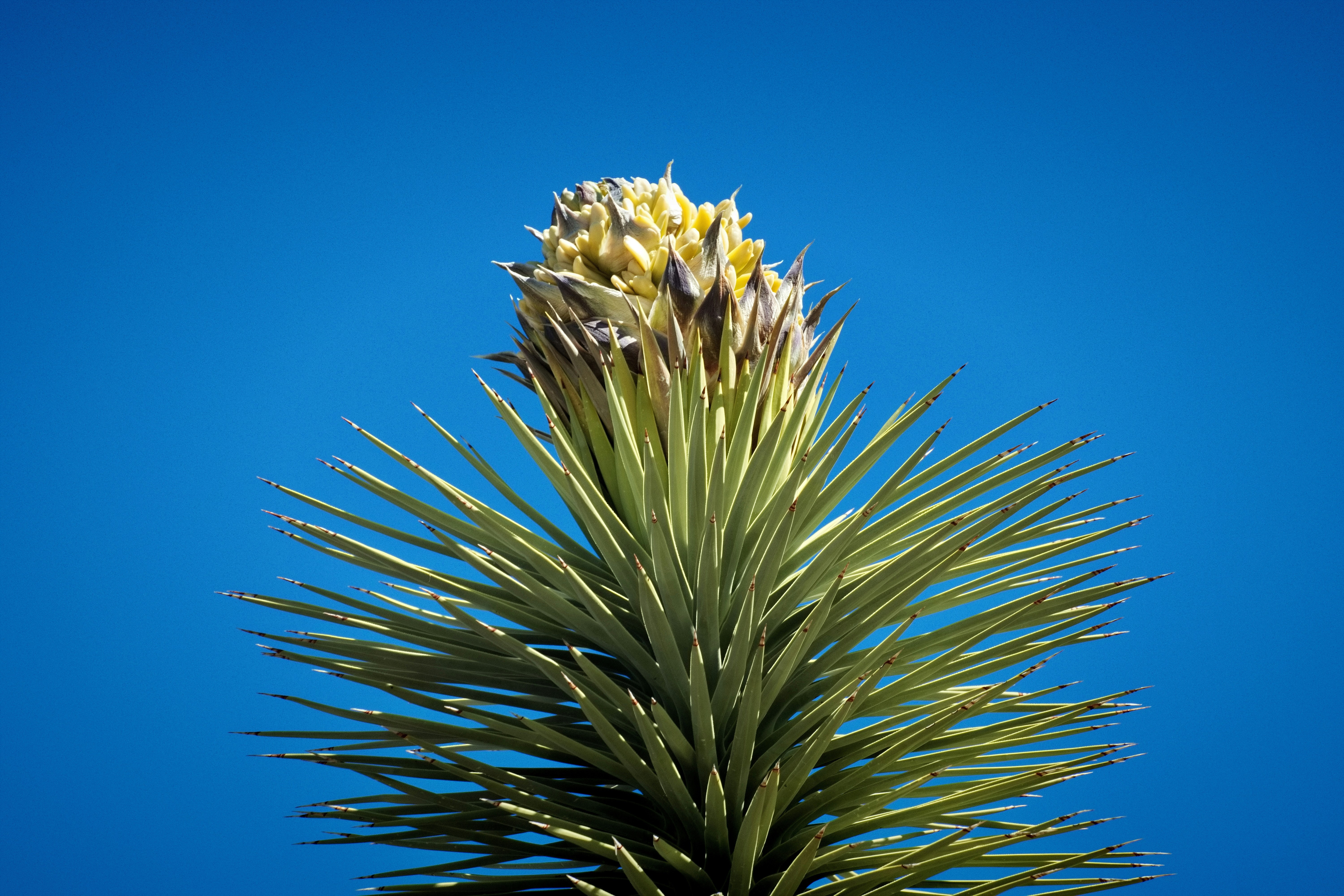 Photo by michael_yantis