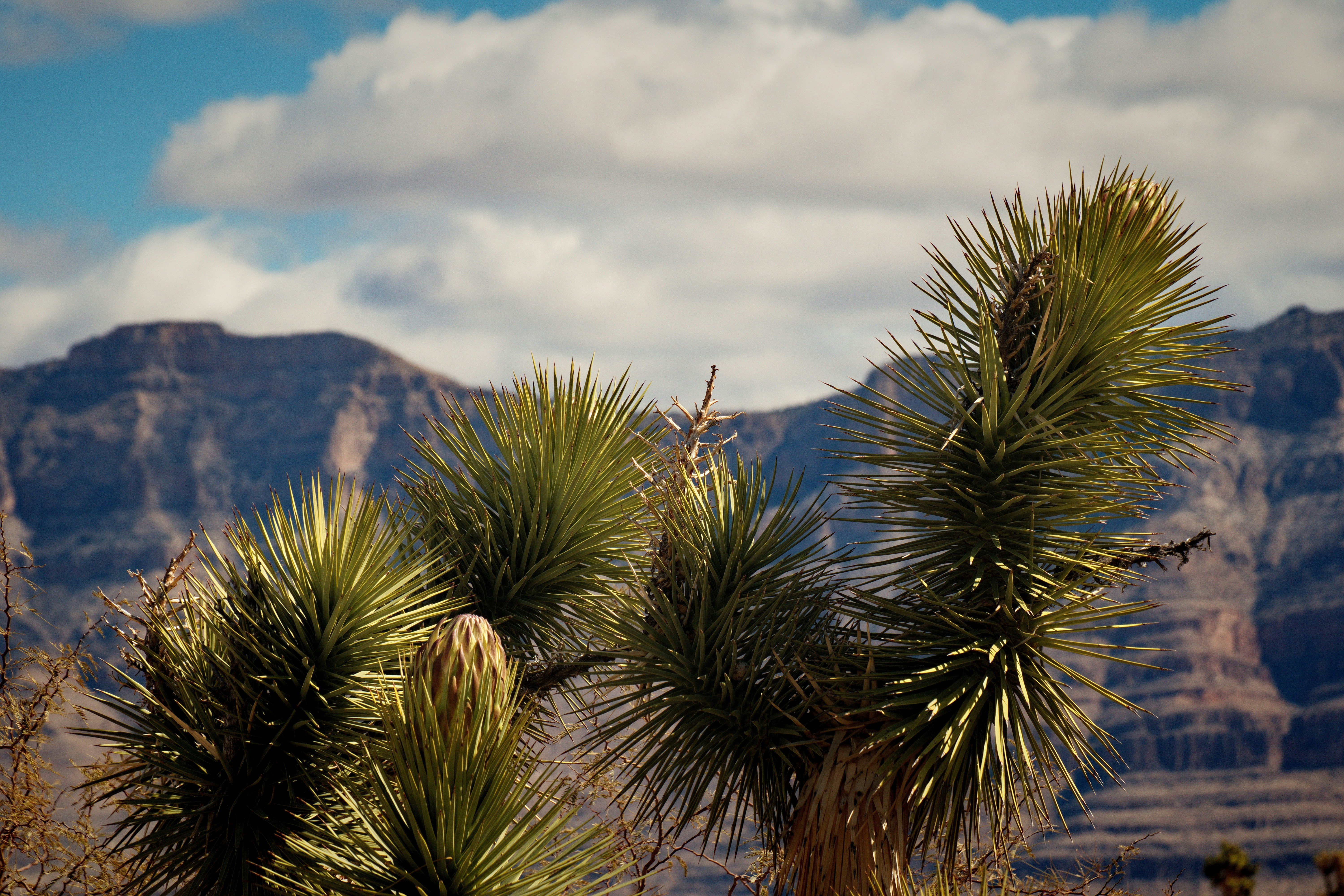 Photo by michael_yantis