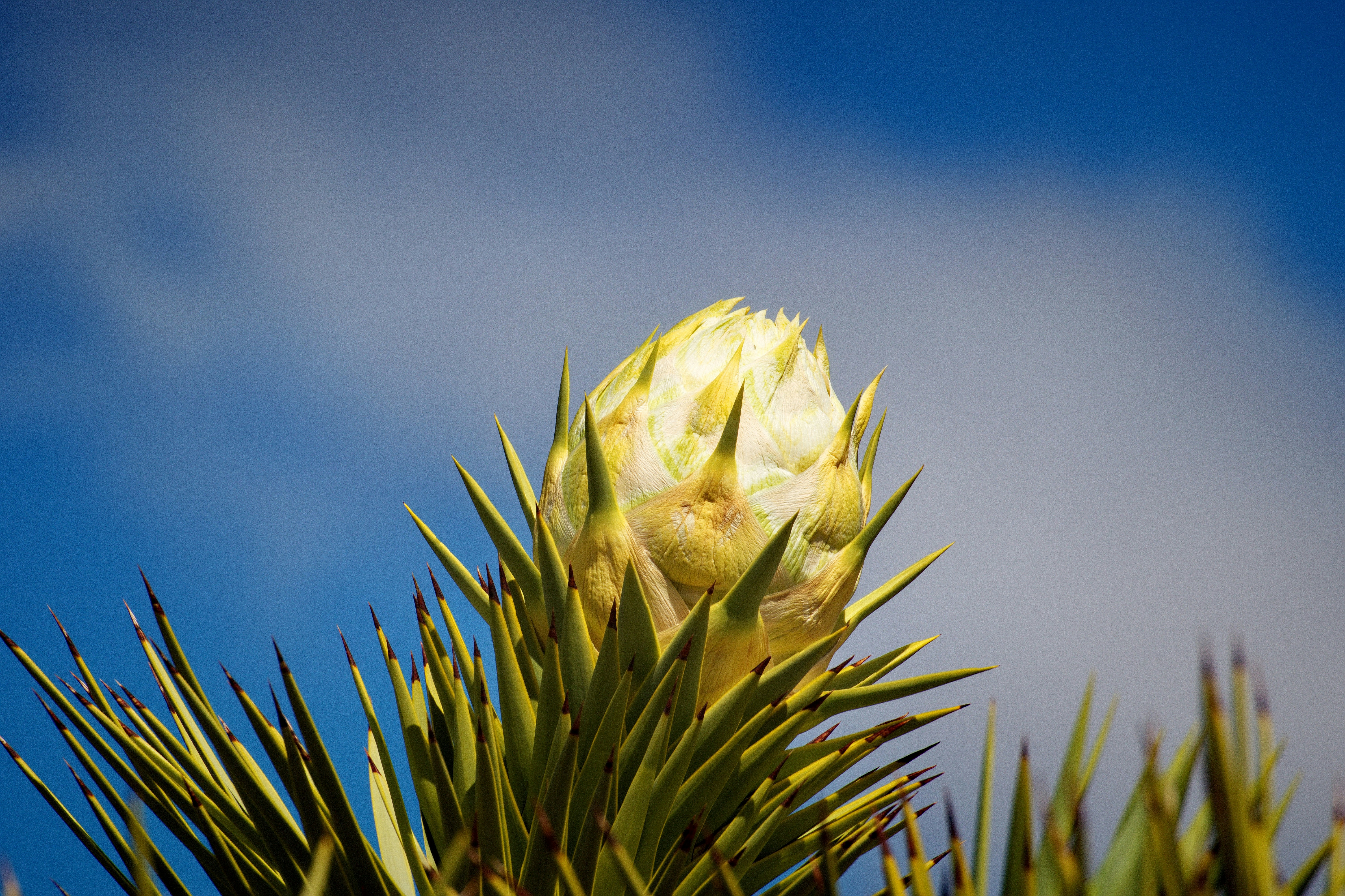 Photo by michael_yantis