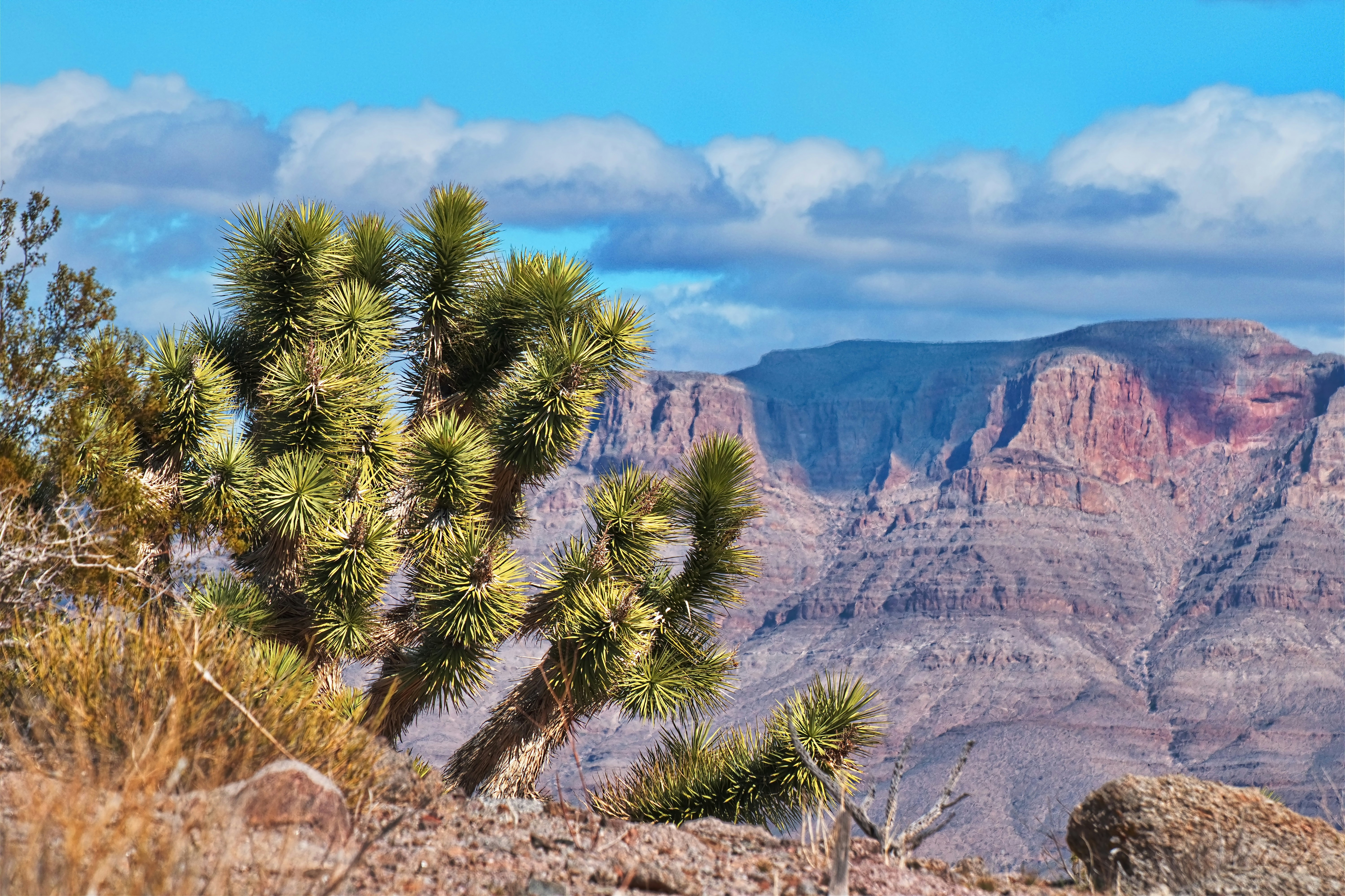 Photo by michael_yantis