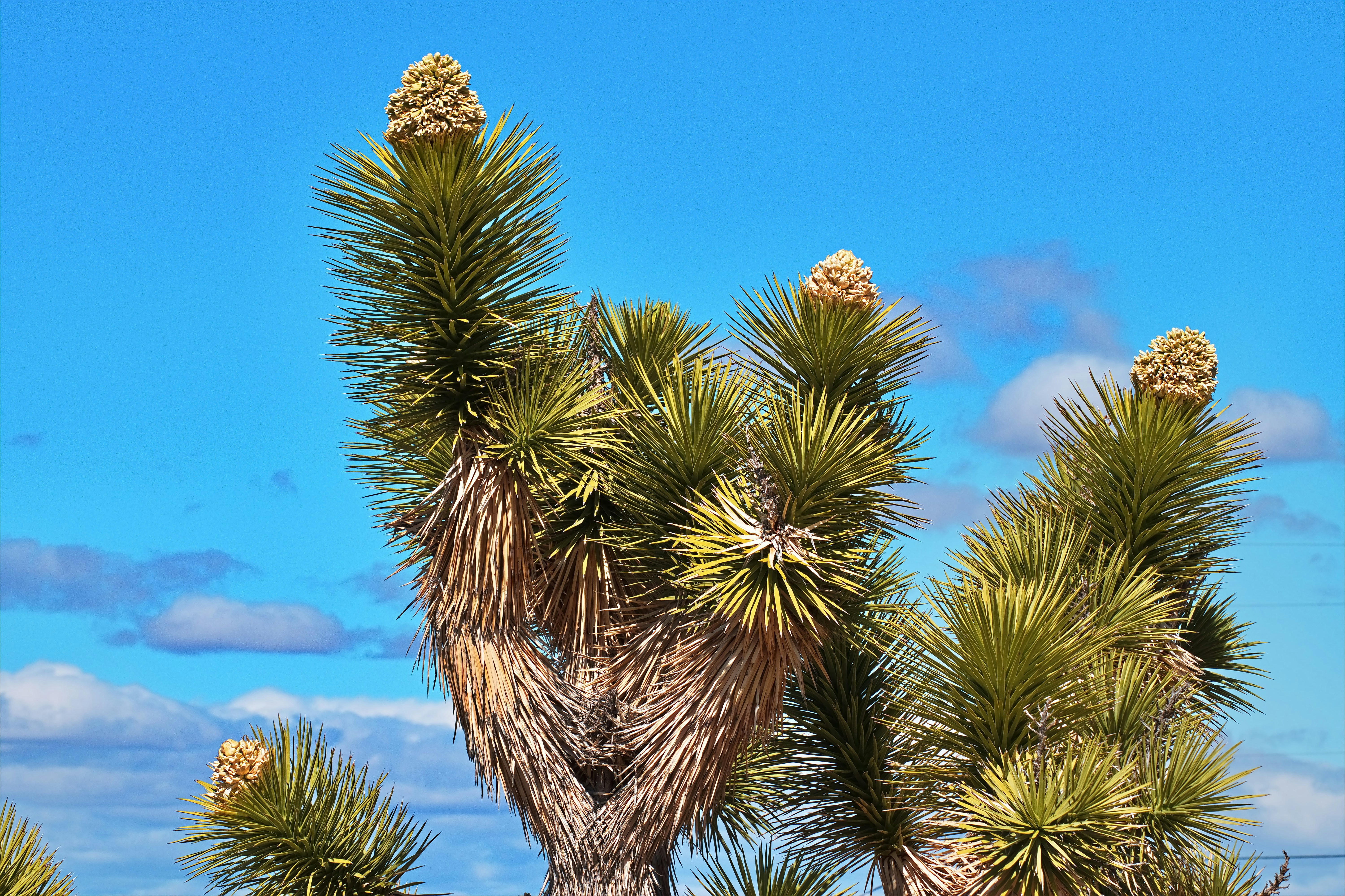 Photo by michael_yantis