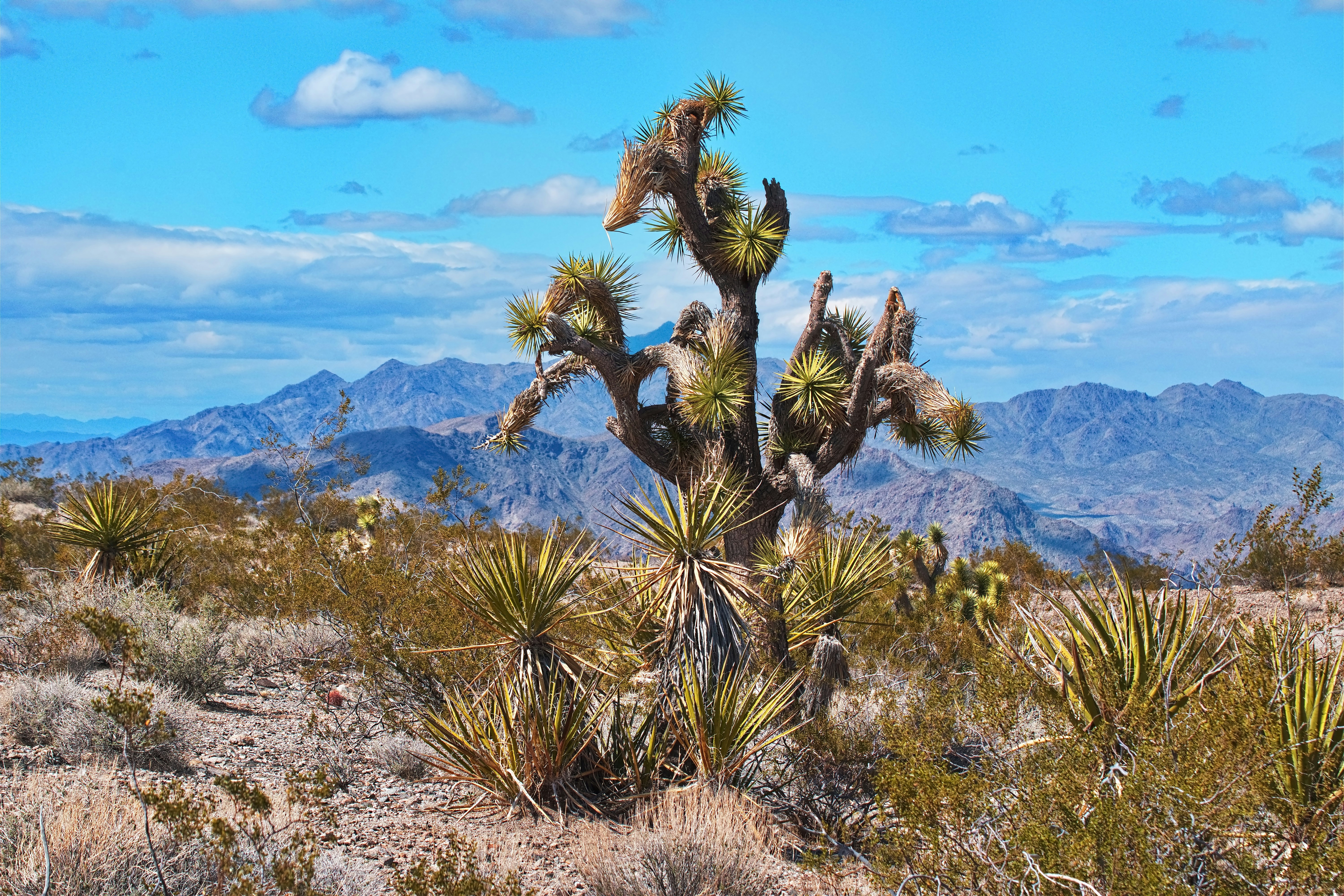 Photo by michael_yantis