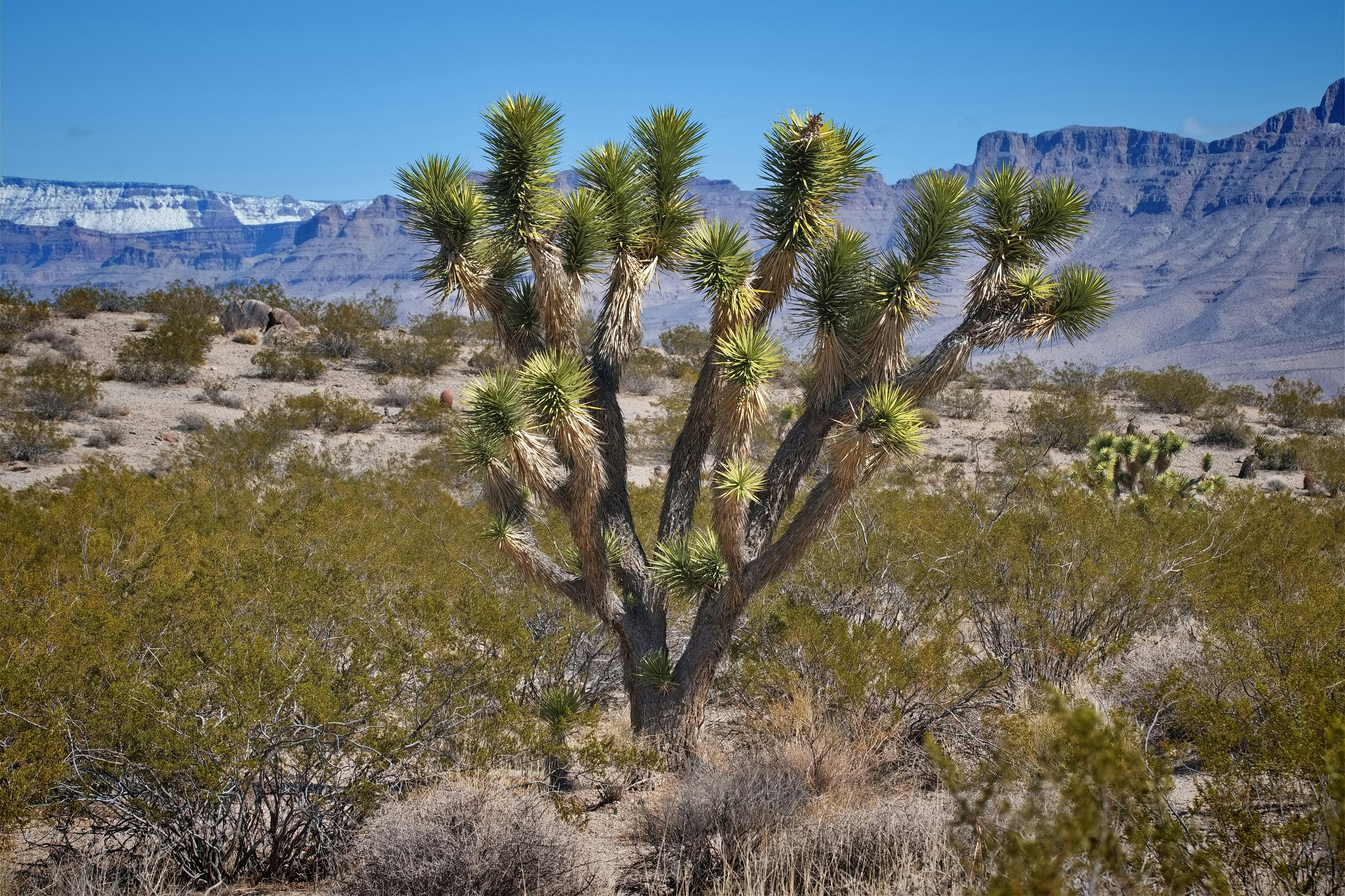 Photo by michael_yantis