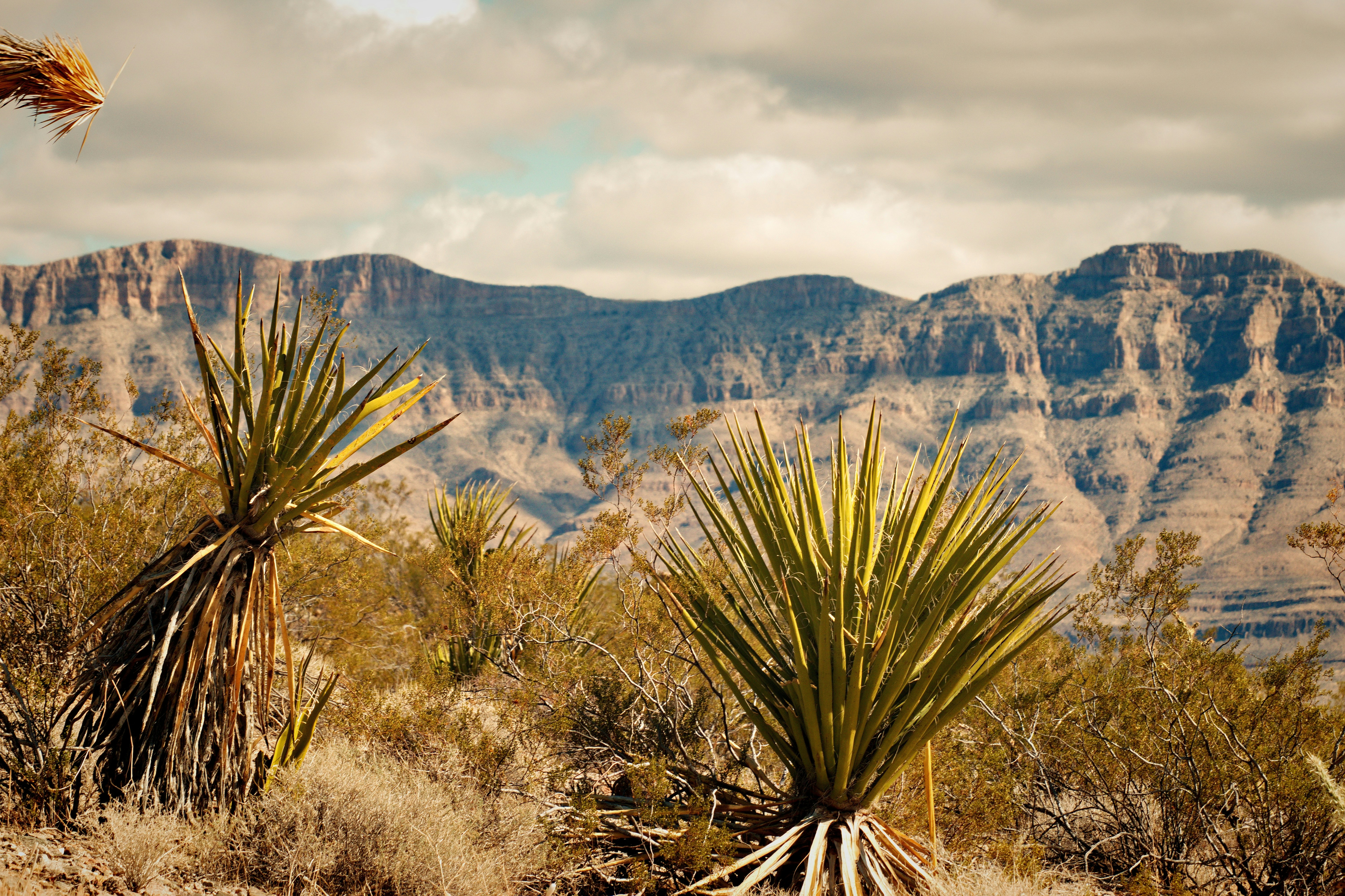 Photo by michael_yantis