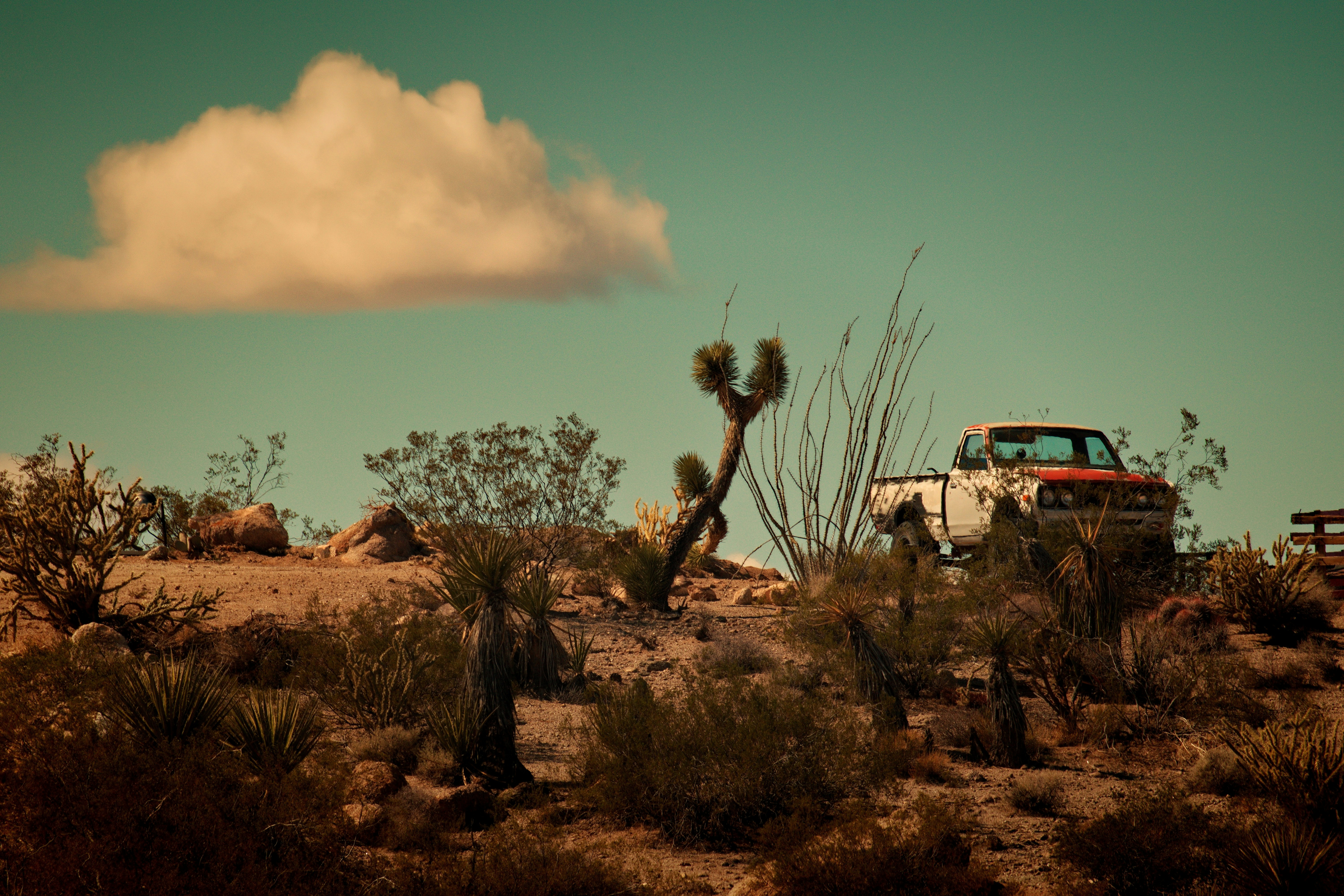 Photo by michael_yantis