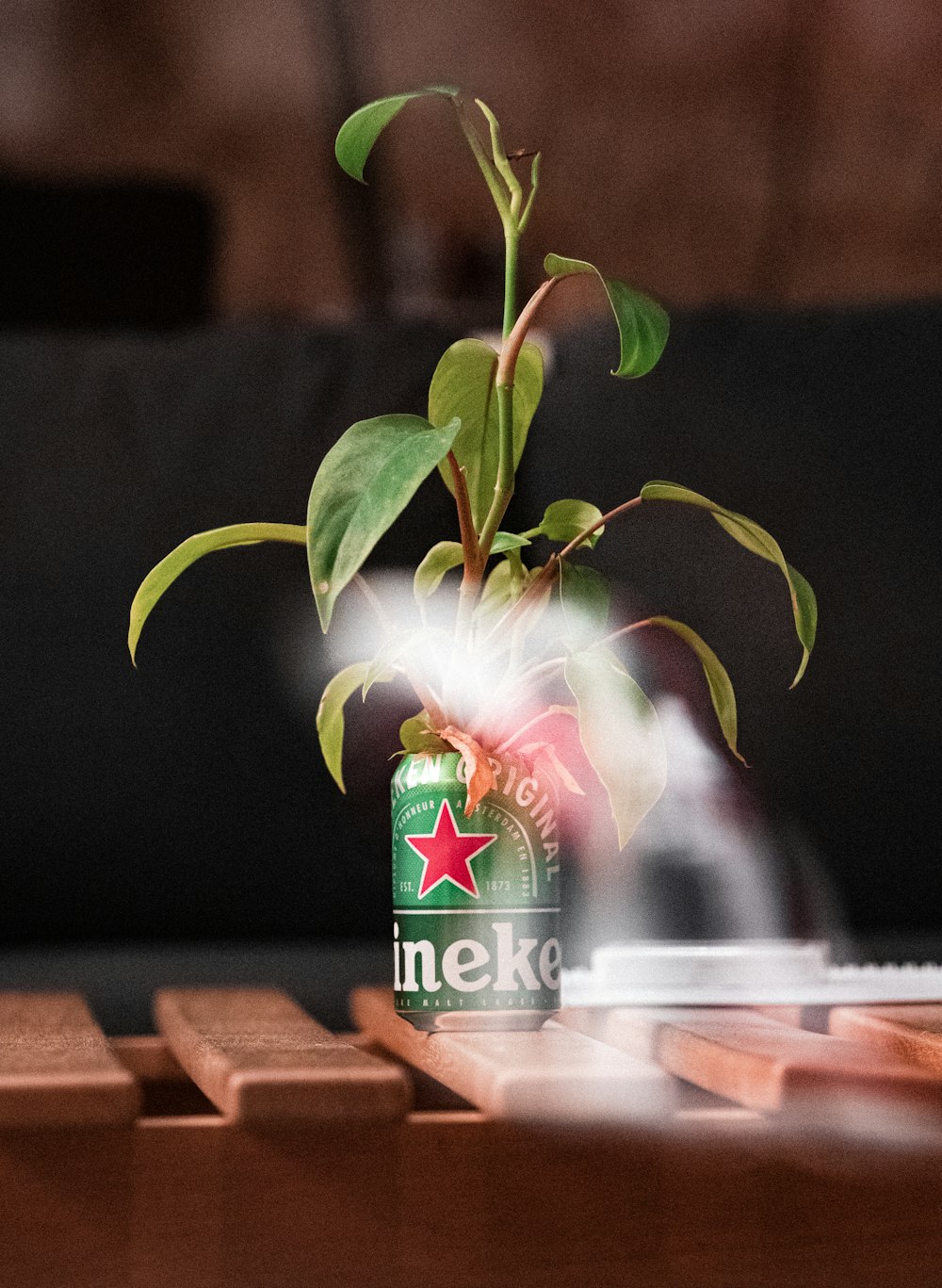 a can of heineken beer with a plant in it