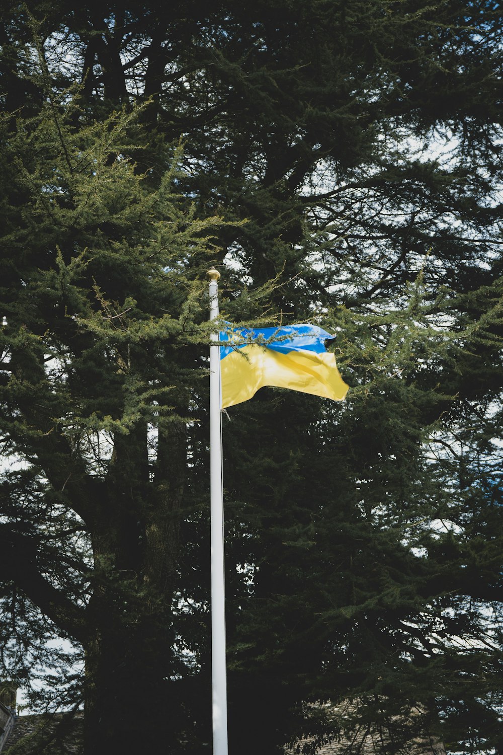 a yellow and blue flag on a pole in front of some trees