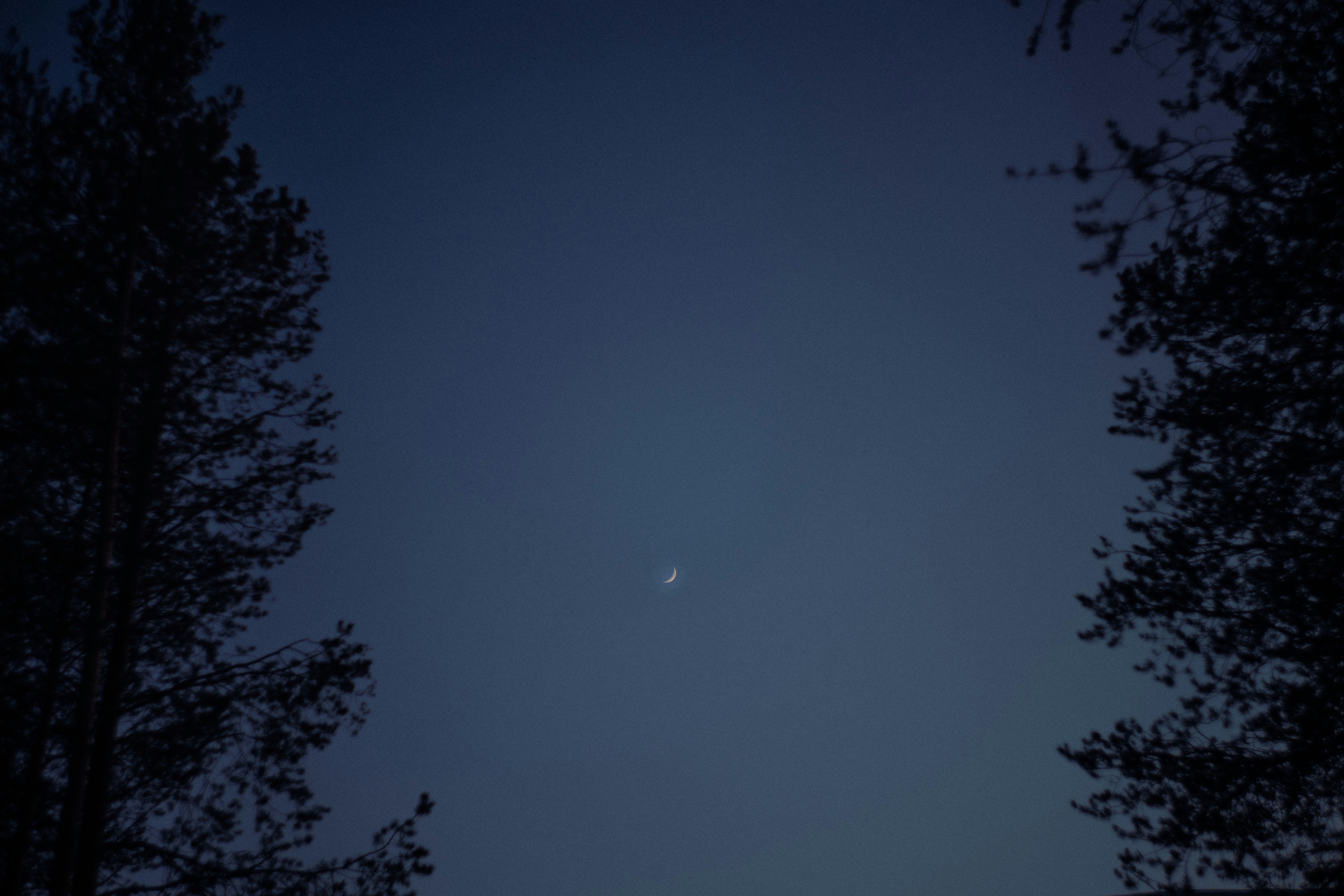 Photo by shklyaevmax