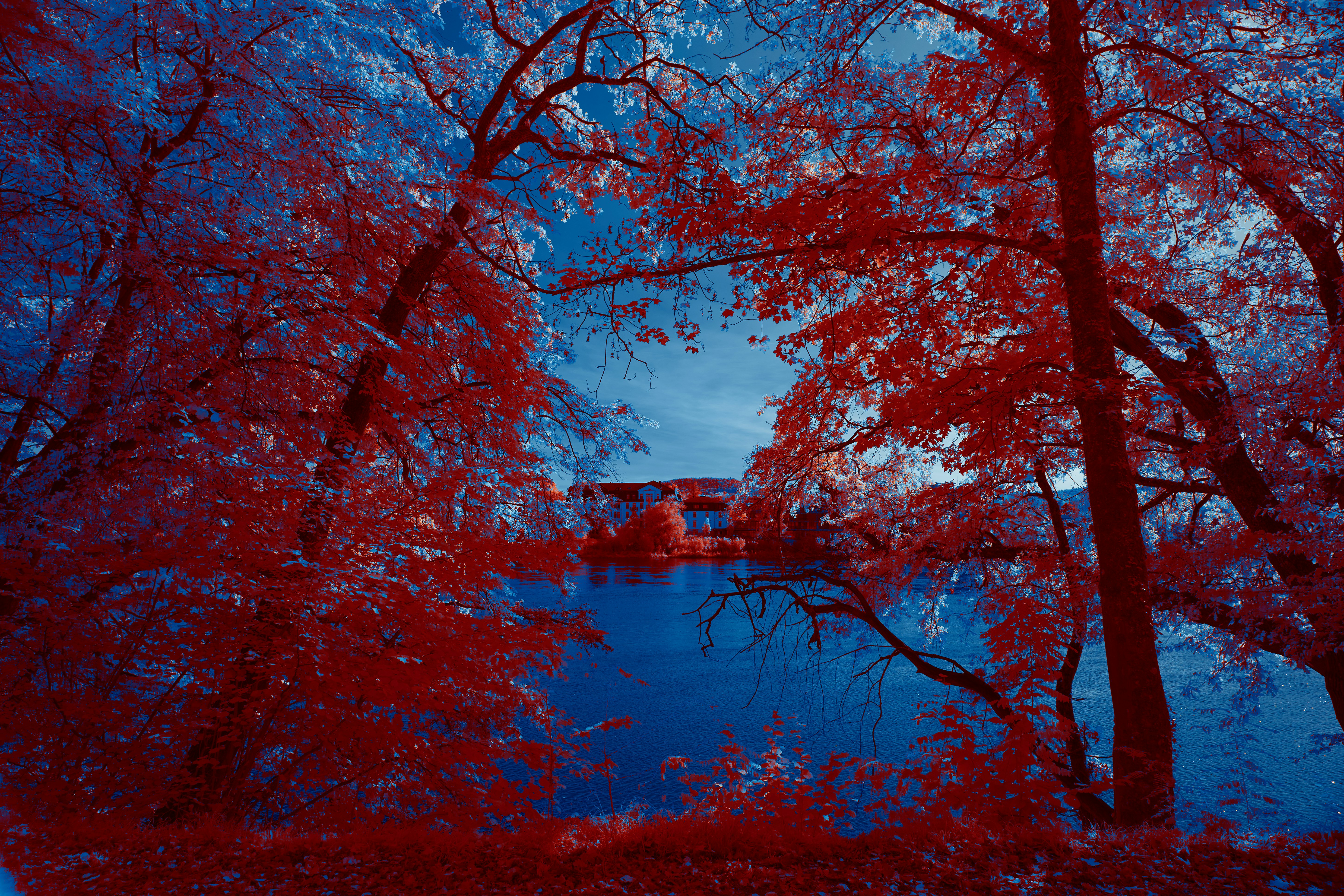 Photo by wolfgang_hasselmann