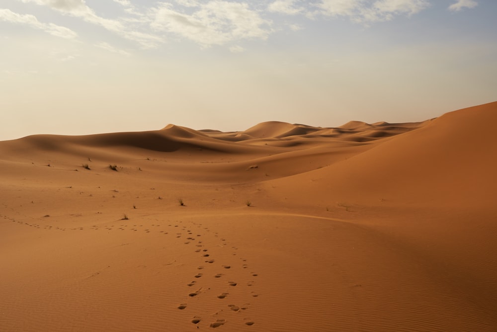 footprints in the sand of a desert with a sky background