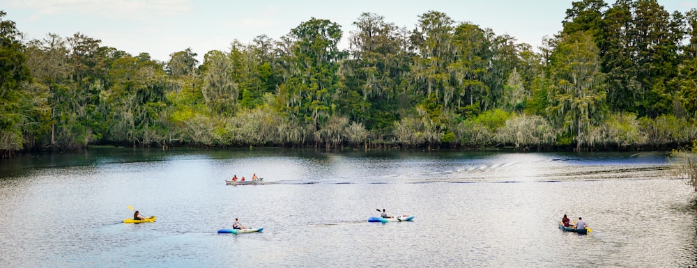 Un grupo de personas en canoas remando río abajo