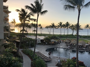 A coastal resort scene featuring a luxurious swimming pool surrounded by lounge chairs and palm trees. Guests relax by the poolside under shaded umbrellas. The ocean is visible in the background, reflecting the golden hues of a setting sun. Buildings and lush greenery frame the scene, enhancing the tropical atmosphere.
