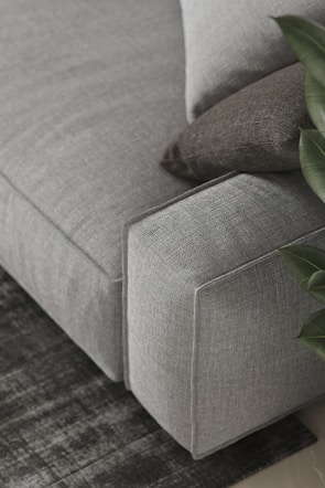 A detailed view of a gray upholstered sofa with a textured surface, accompanied by two cushions in different shades of gray. A plant with broad green leaves is partially visible on the right side, and the sofa is placed atop a dark, patterned rug.