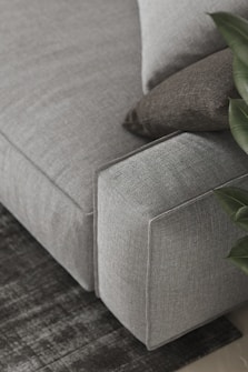 A detailed view of a gray upholstered sofa with a textured surface, accompanied by two cushions in different shades of gray. A plant with broad green leaves is partially visible on the right side, and the sofa is placed atop a dark, patterned rug.