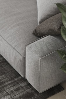 A detailed view of a gray upholstered sofa with a textured surface, accompanied by two cushions in different shades of gray. A plant with broad green leaves is partially visible on the right side, and the sofa is placed atop a dark, patterned rug.