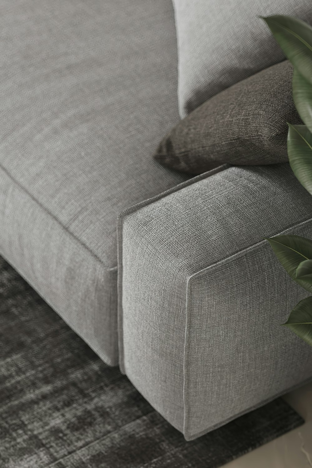 a close up of a couch with a plant on it