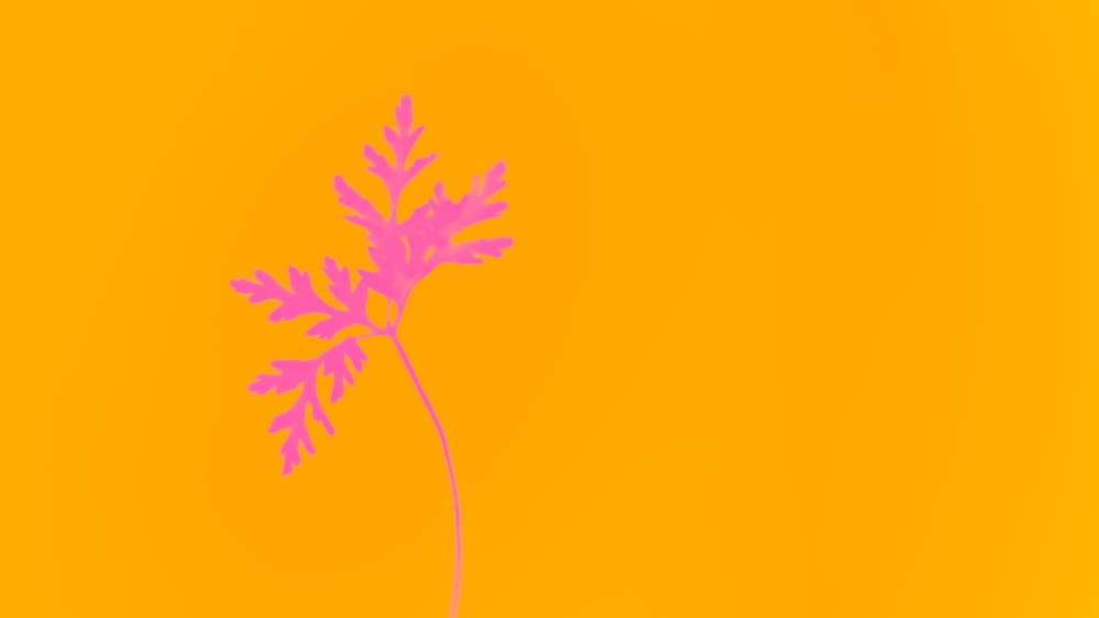 a single purple flower on a yellow background