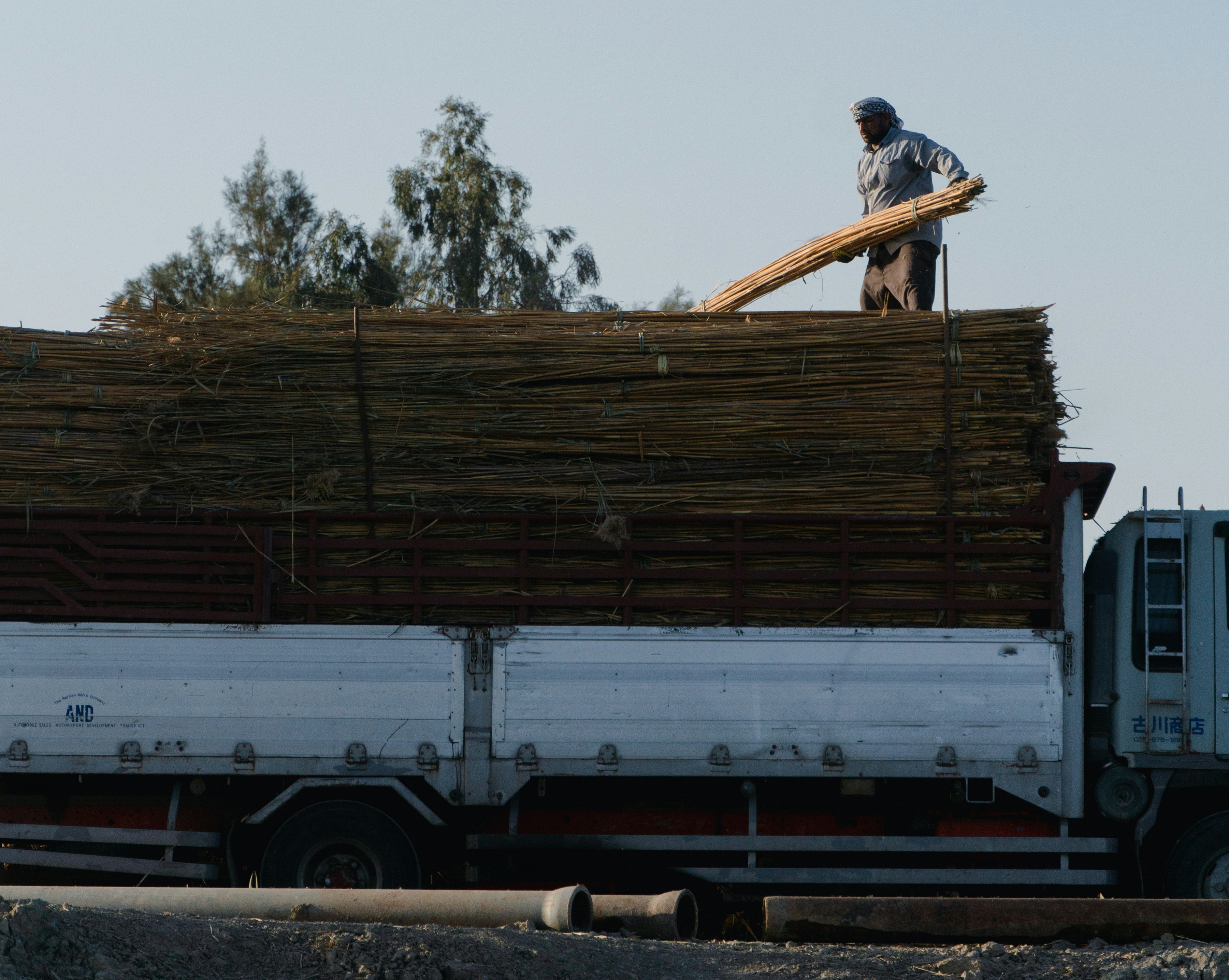 Photo by mrgreatheart