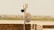 A security camera and satellite dish mounted on a pole, positioned on a brick wall. The scene overlooks a flat, rural landscape with sparse vegetation in the distance, under a clear sky.