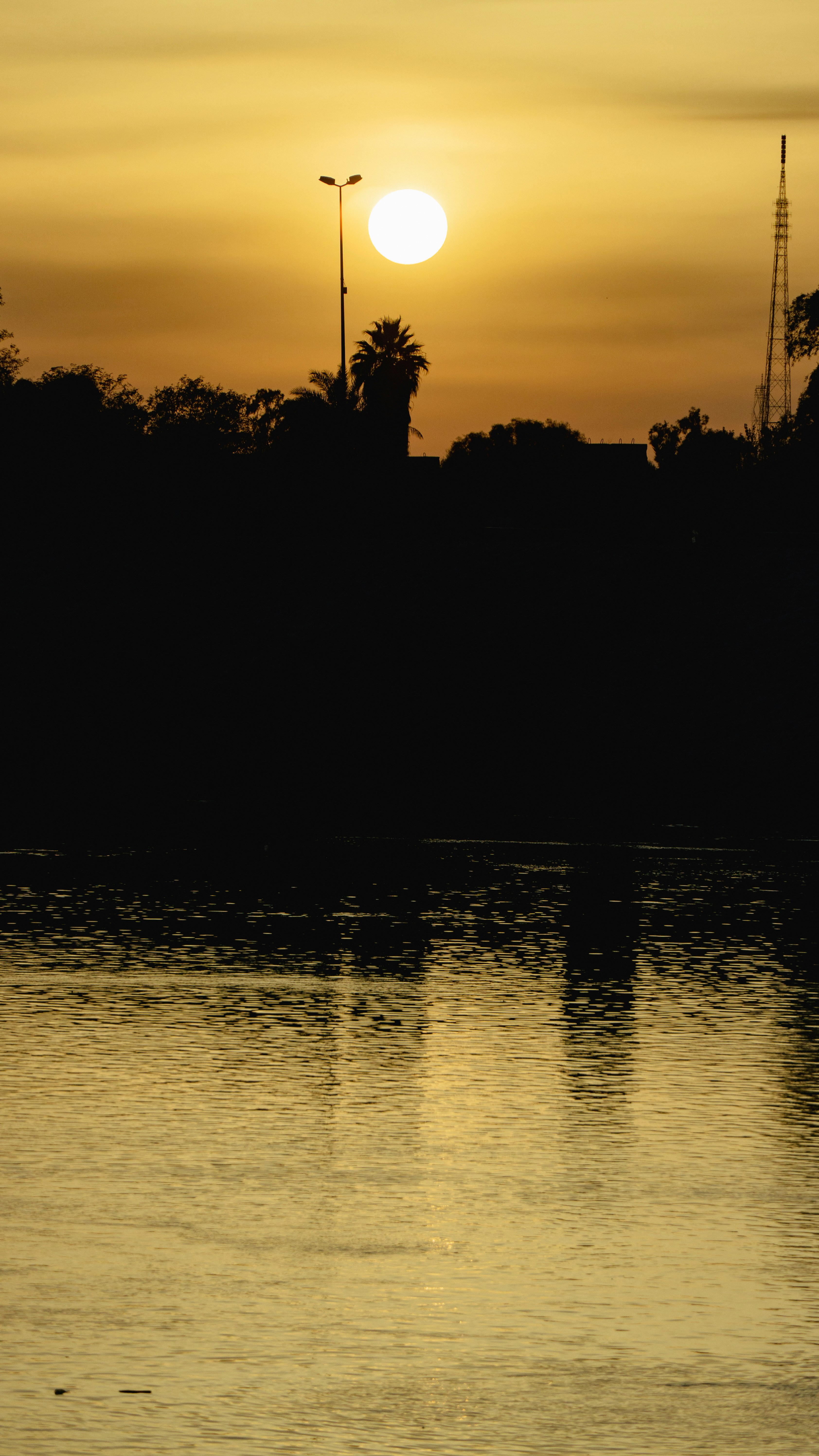 Photo by mrgreatheart