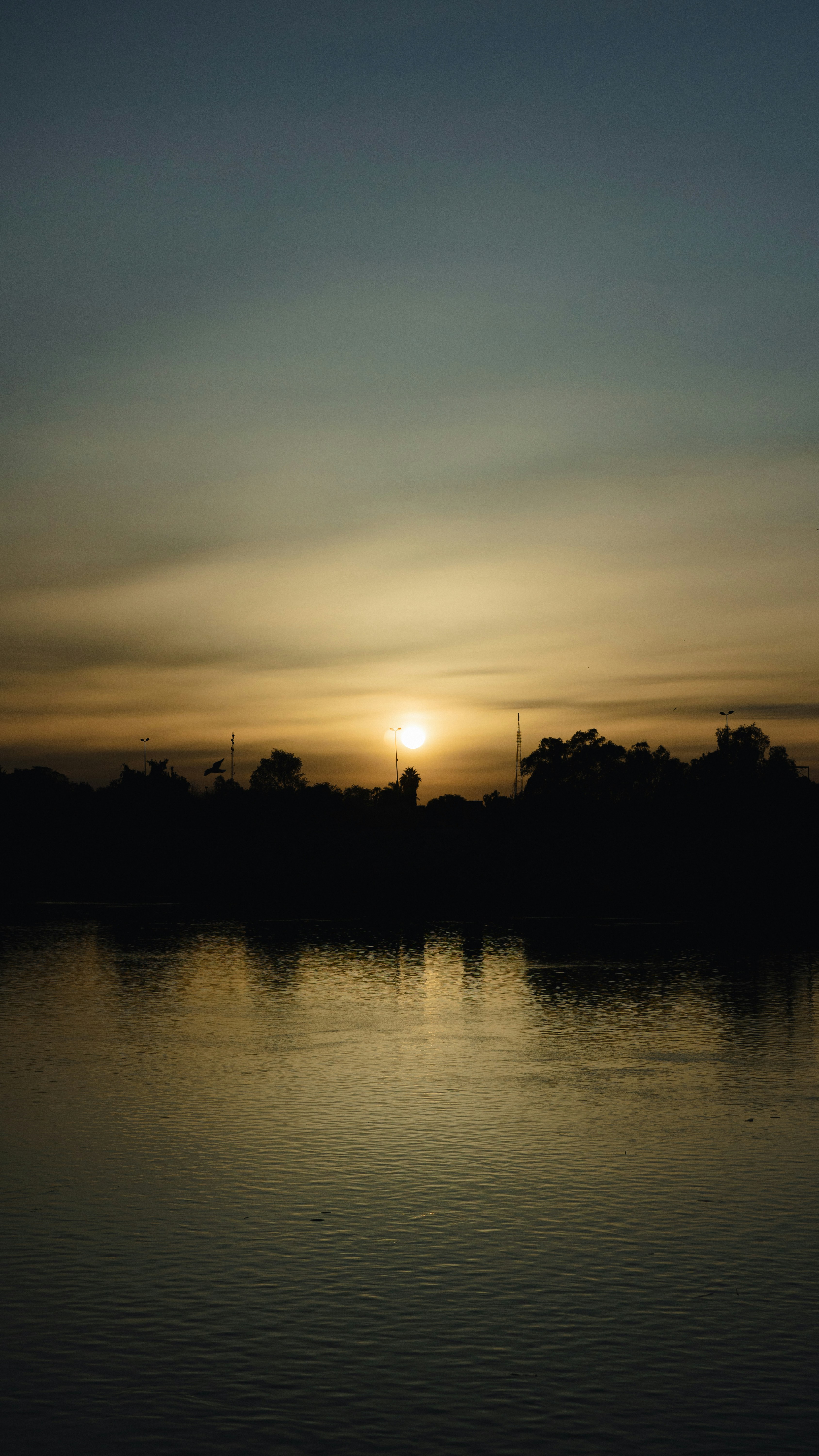 Photo by mrgreatheart