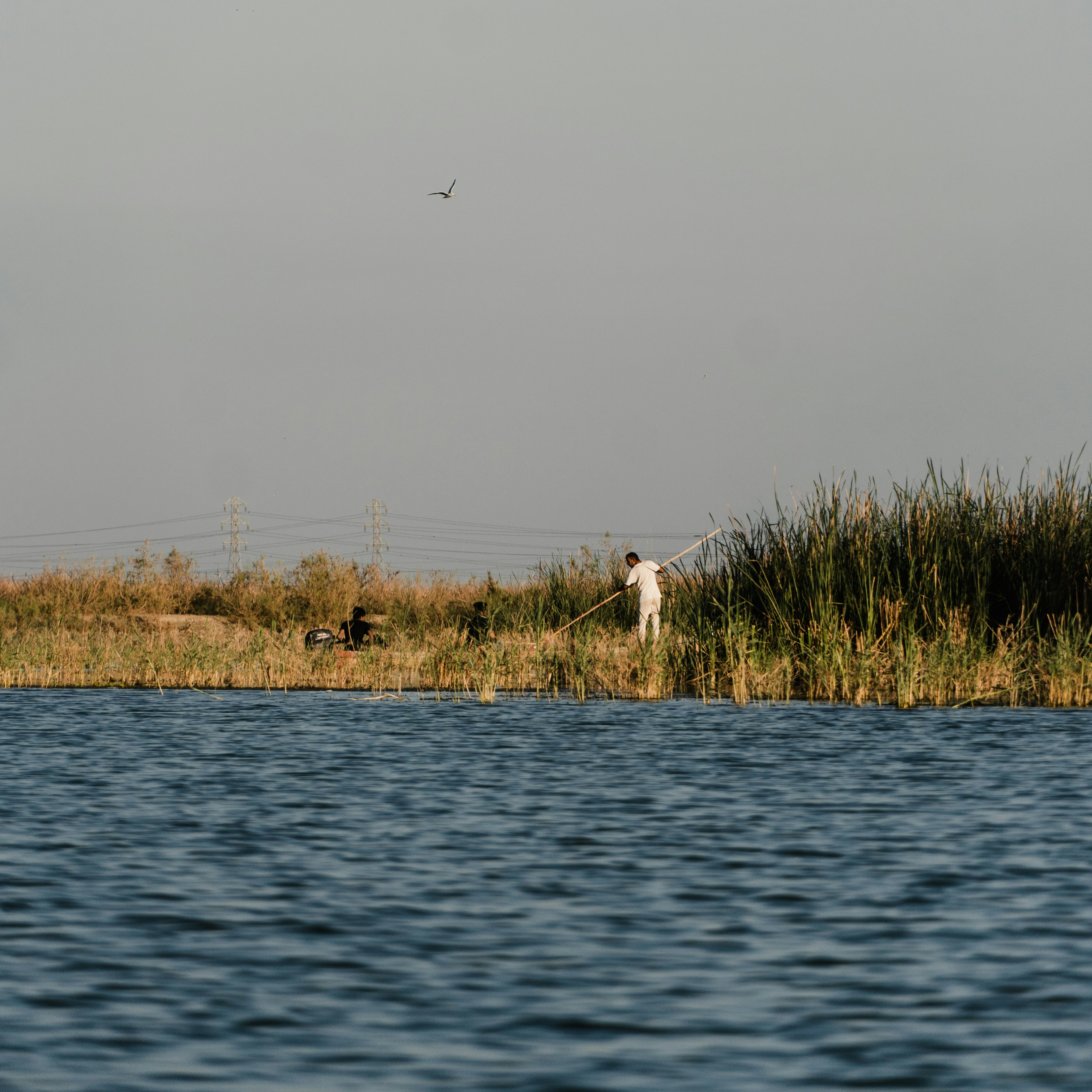 Photo by mrgreatheart