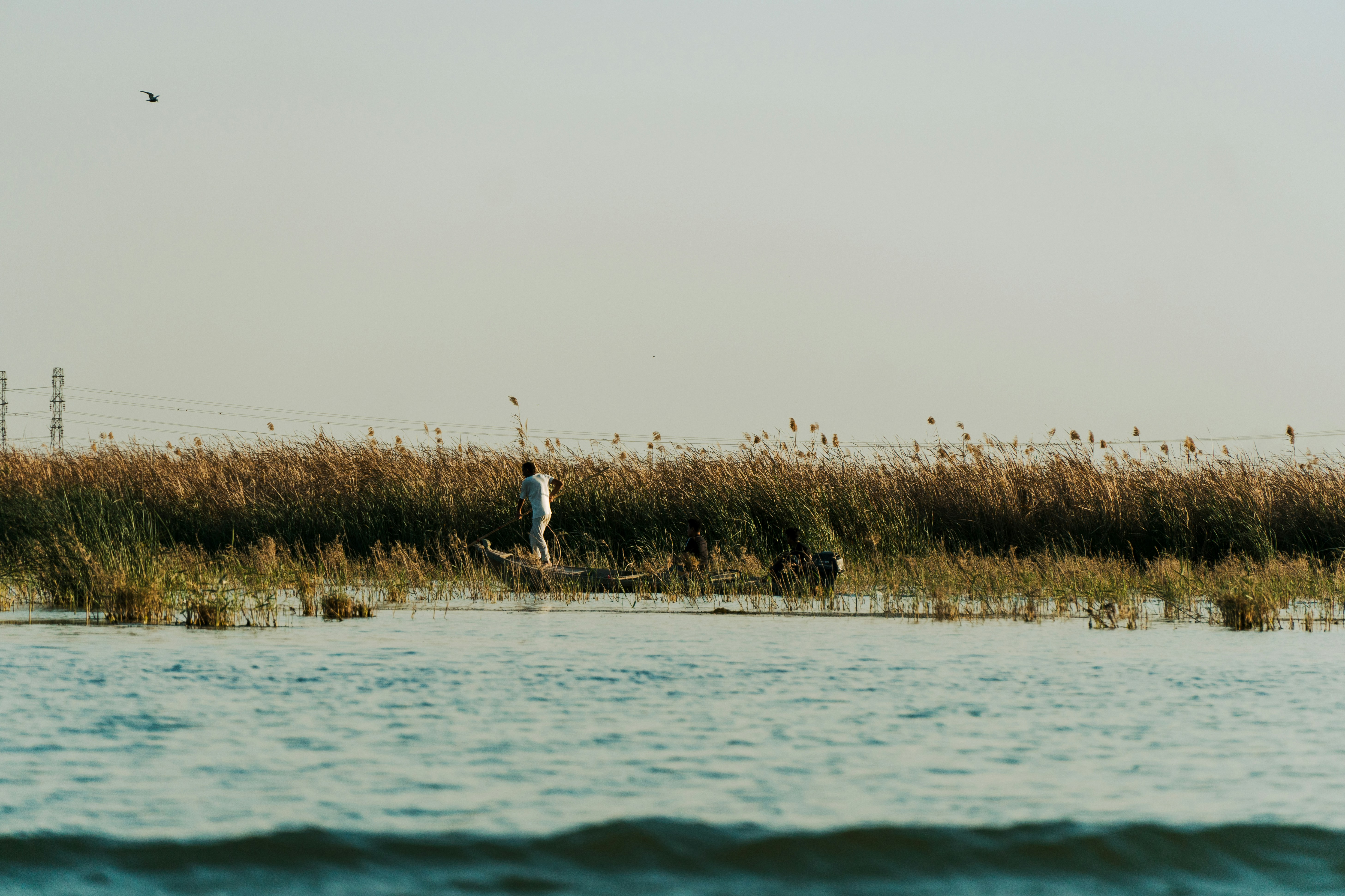 Photo by mrgreatheart